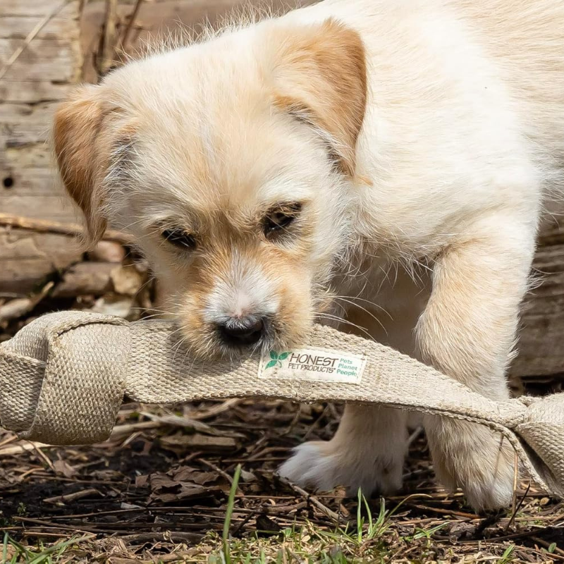 Honest Pet Products ECO-TUGGER