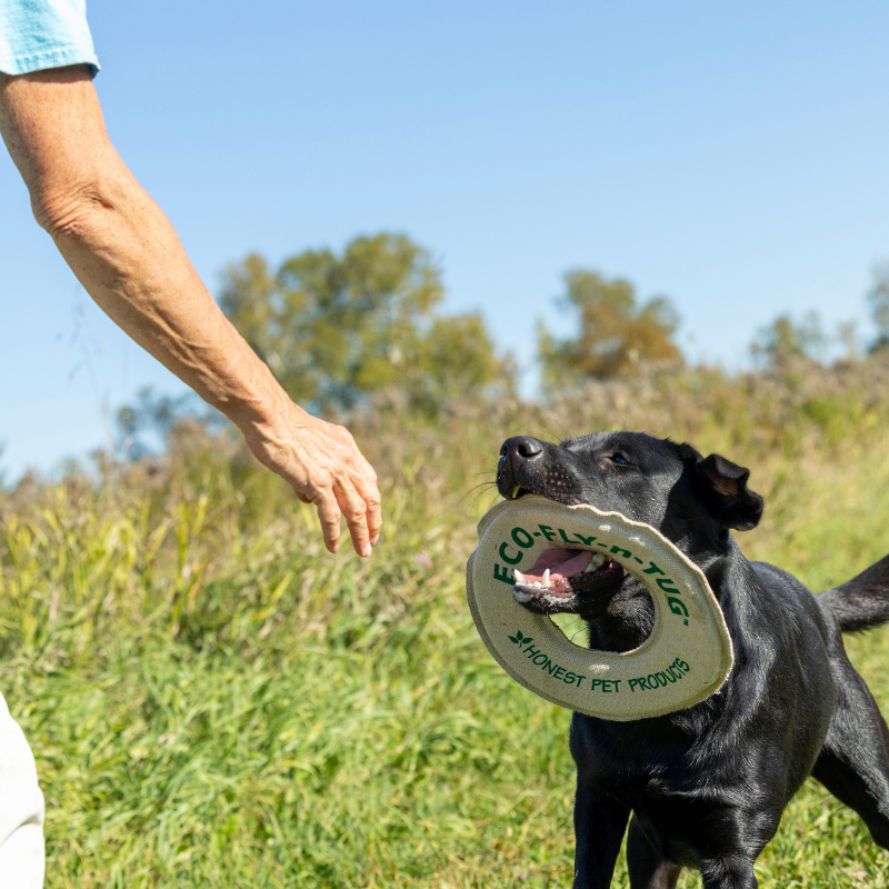 Honest Pet Products ECO-FLY-N-TUG