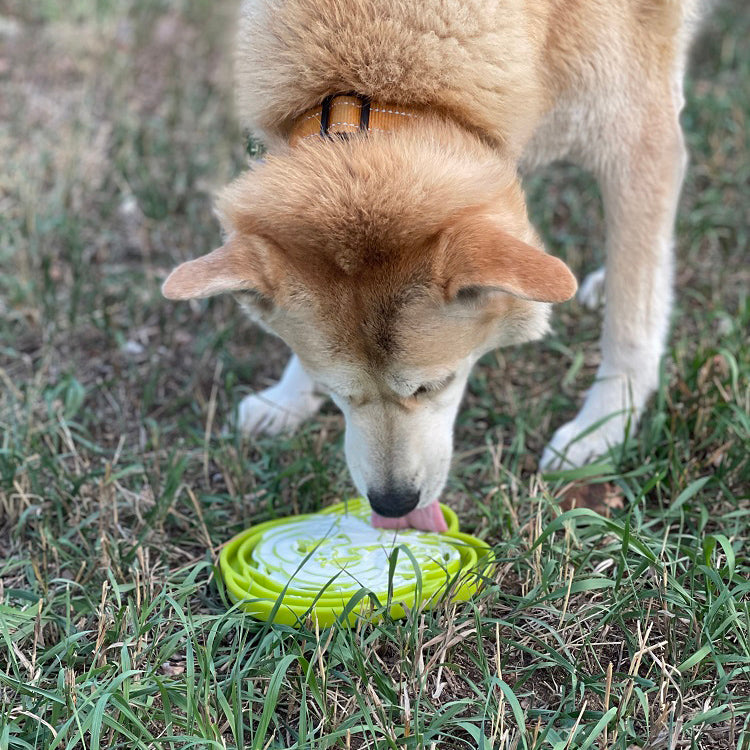SodaPup Water Frog eTray - Shallow Slow Feeder Dog Bowl for Enrichment | USA Made