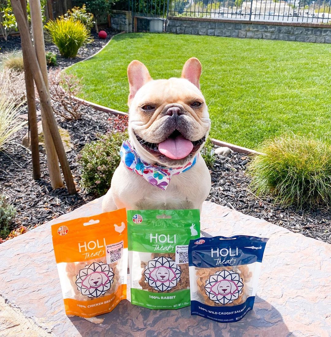 HOLI - Chicken Breast Dog and Cat Treats