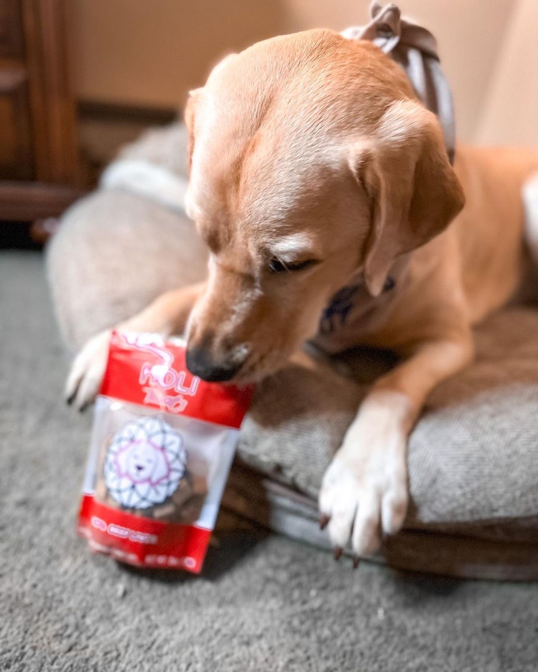 HOLI - Beef Liver Dog Treats - Freeze-Dried - Single Ingredient