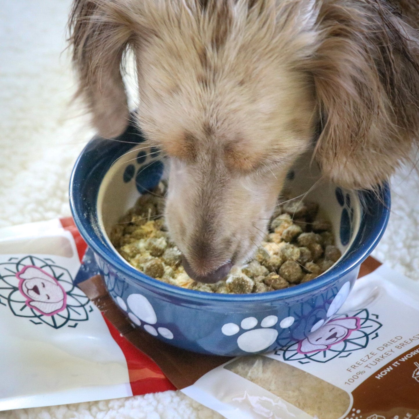 HOLI - Rabbit Dog Food Topper - Freeze Dried - Single Ingredient