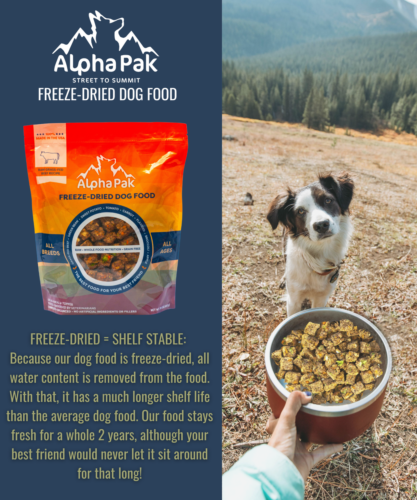 AlphaPak Freeze-Dried Raw Beef — Formulated for Dog Longevity