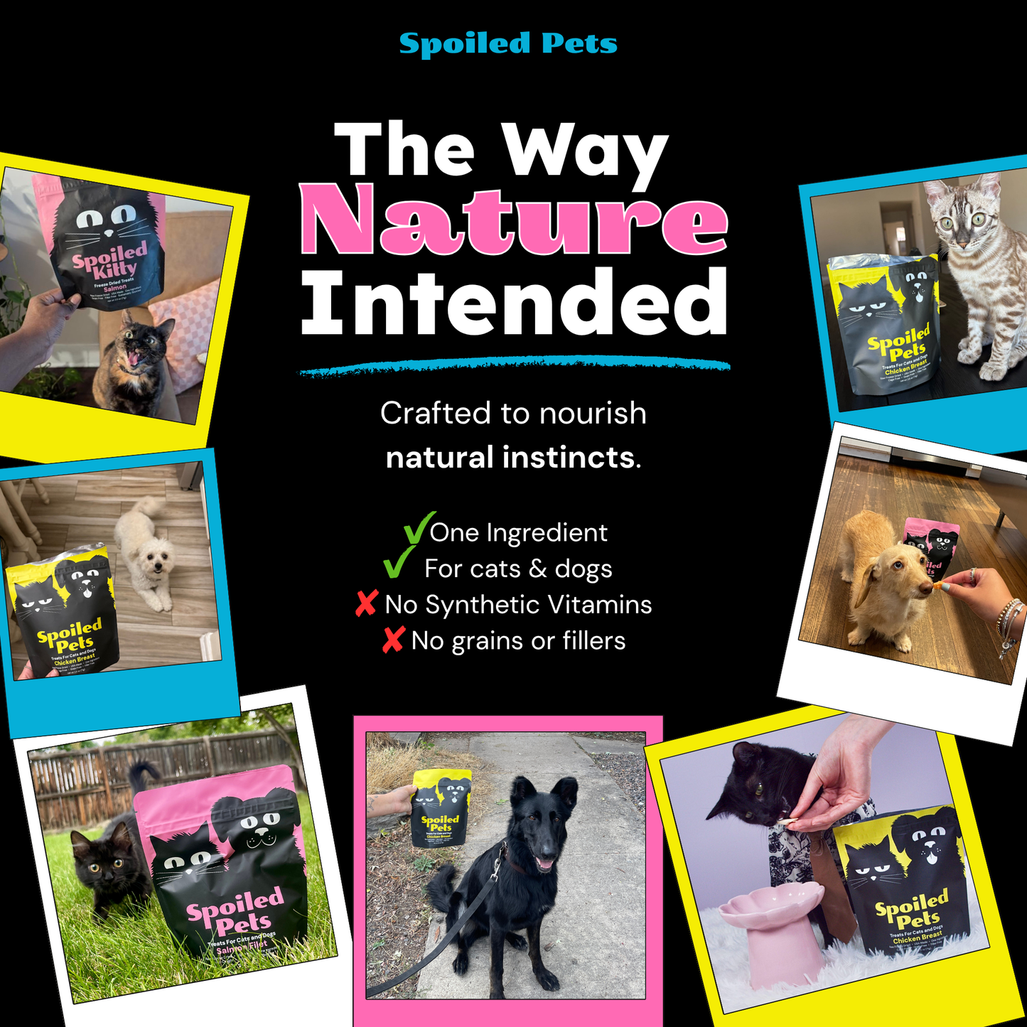 Spoiled Pets - Chicken Breast Bites for Dogs and Cats