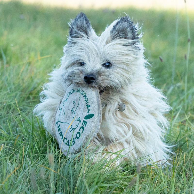 Honest Pet Products ECO-FETCHER