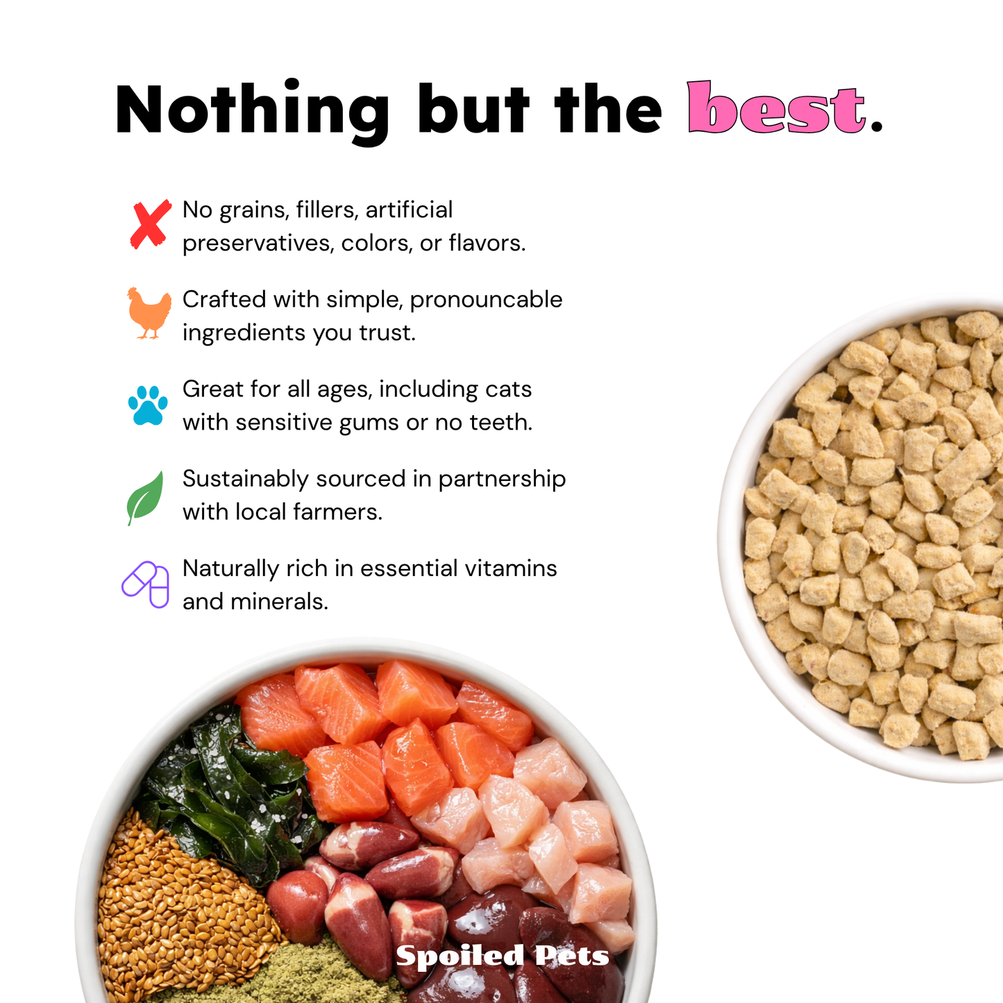 Spoiled Pets - Chicken and Salmon Balanced Bowl