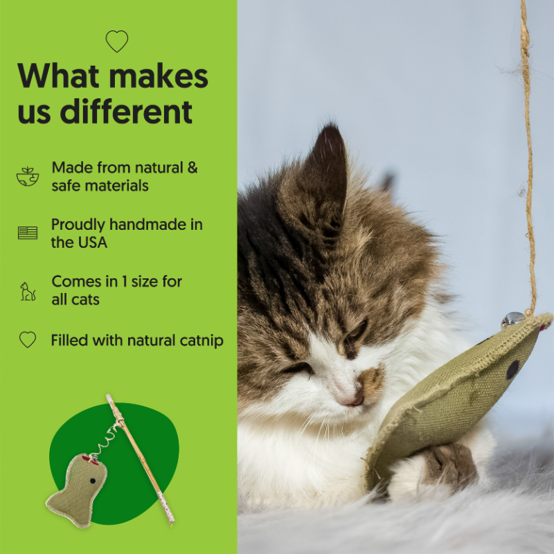 Honest Pet Products ECO-CAT FISHER