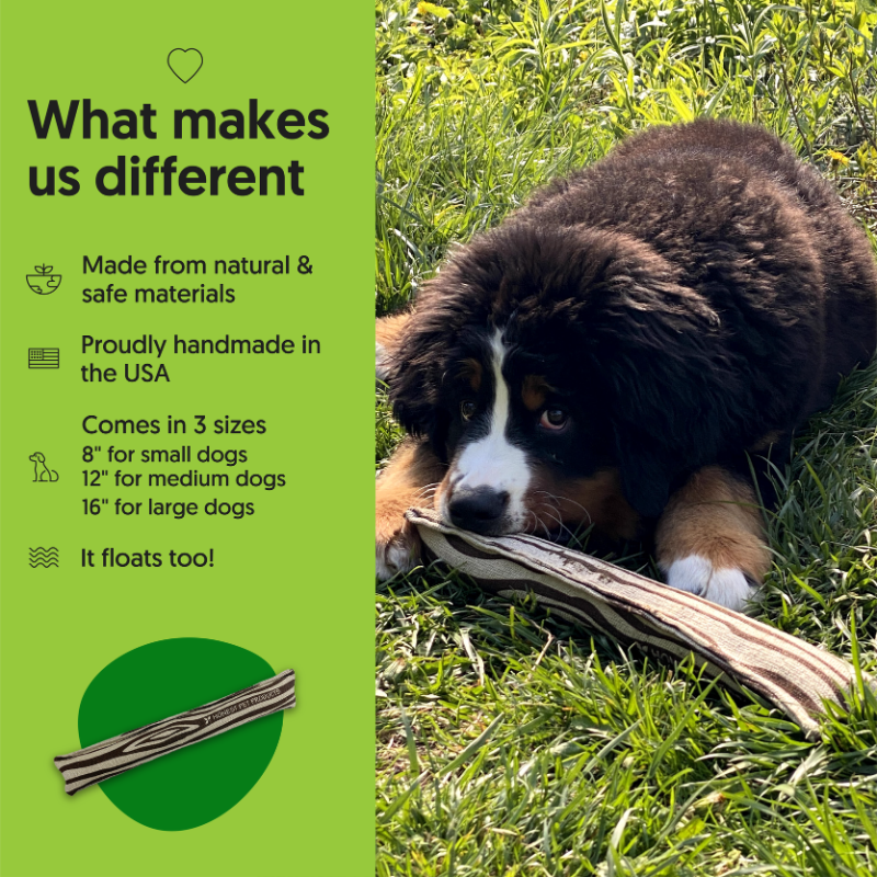 Honest Pet Products ECO-FETCHIN' STICK