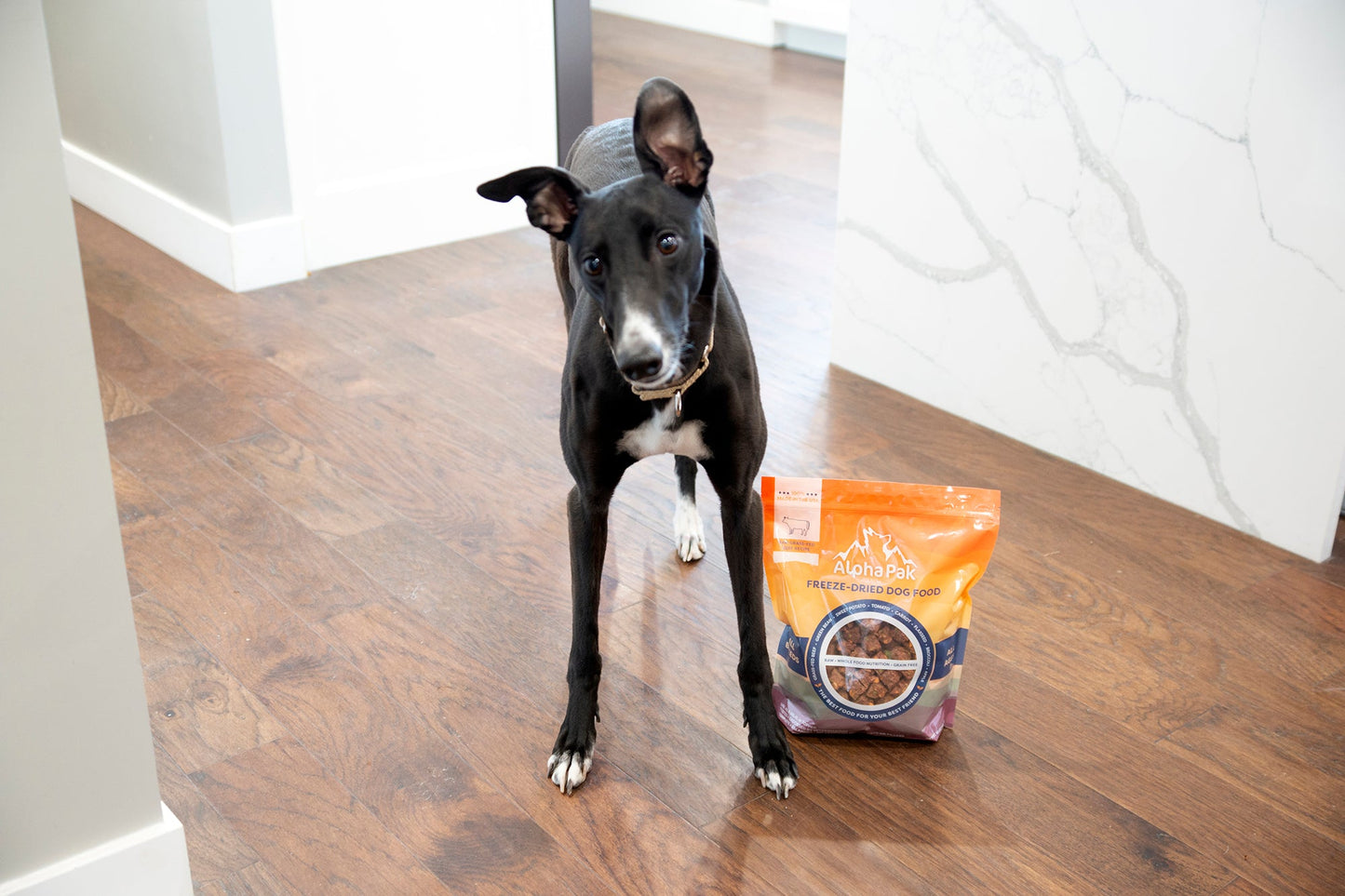 AlphaPak Freeze-Dried Raw Beef — Formulated for Dog Longevity