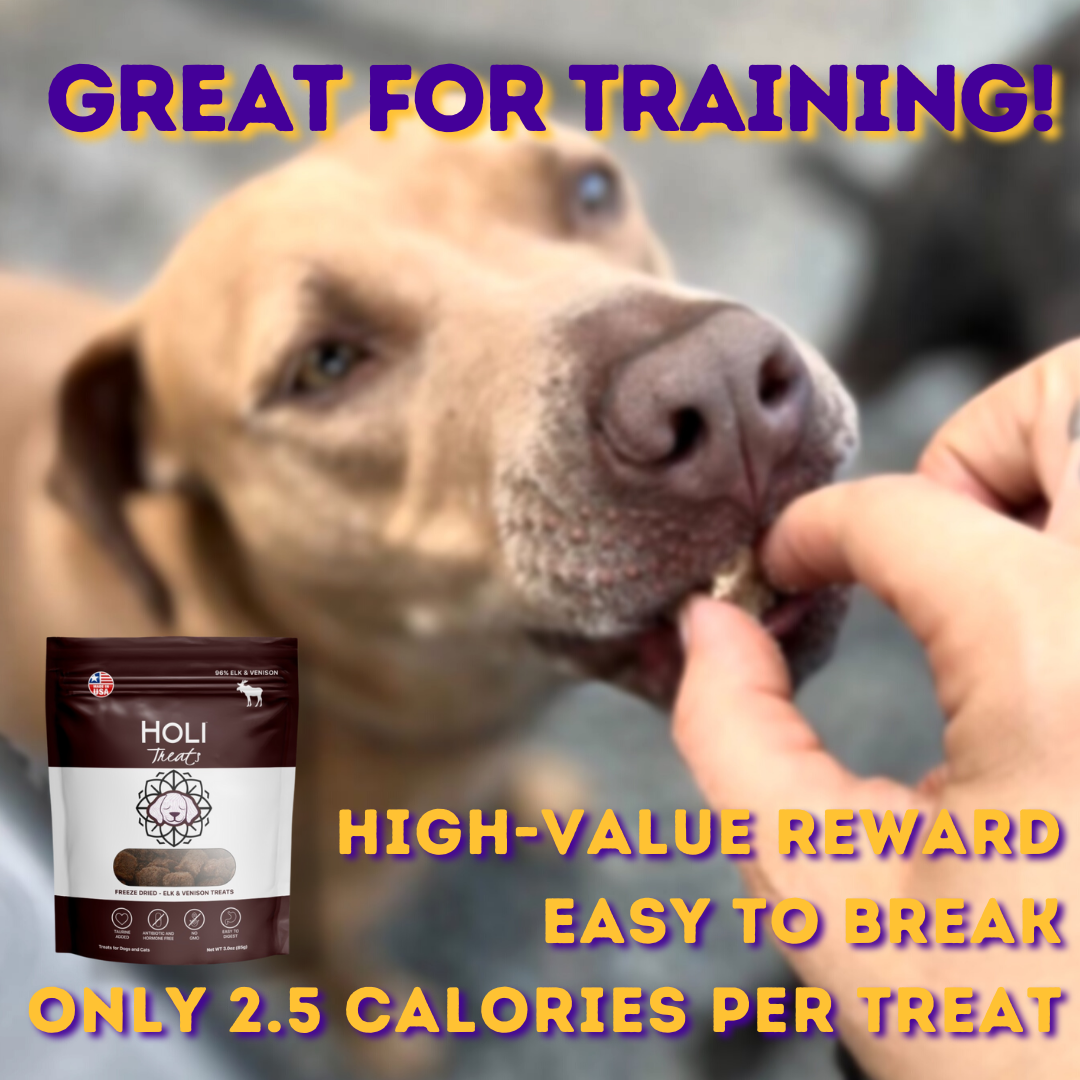 HOLI - Elk & Venison Dog and Cat Treats