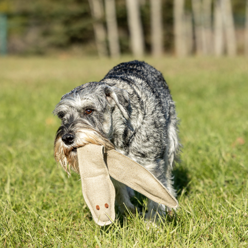 Honest Pet Products ECO-RATTLER