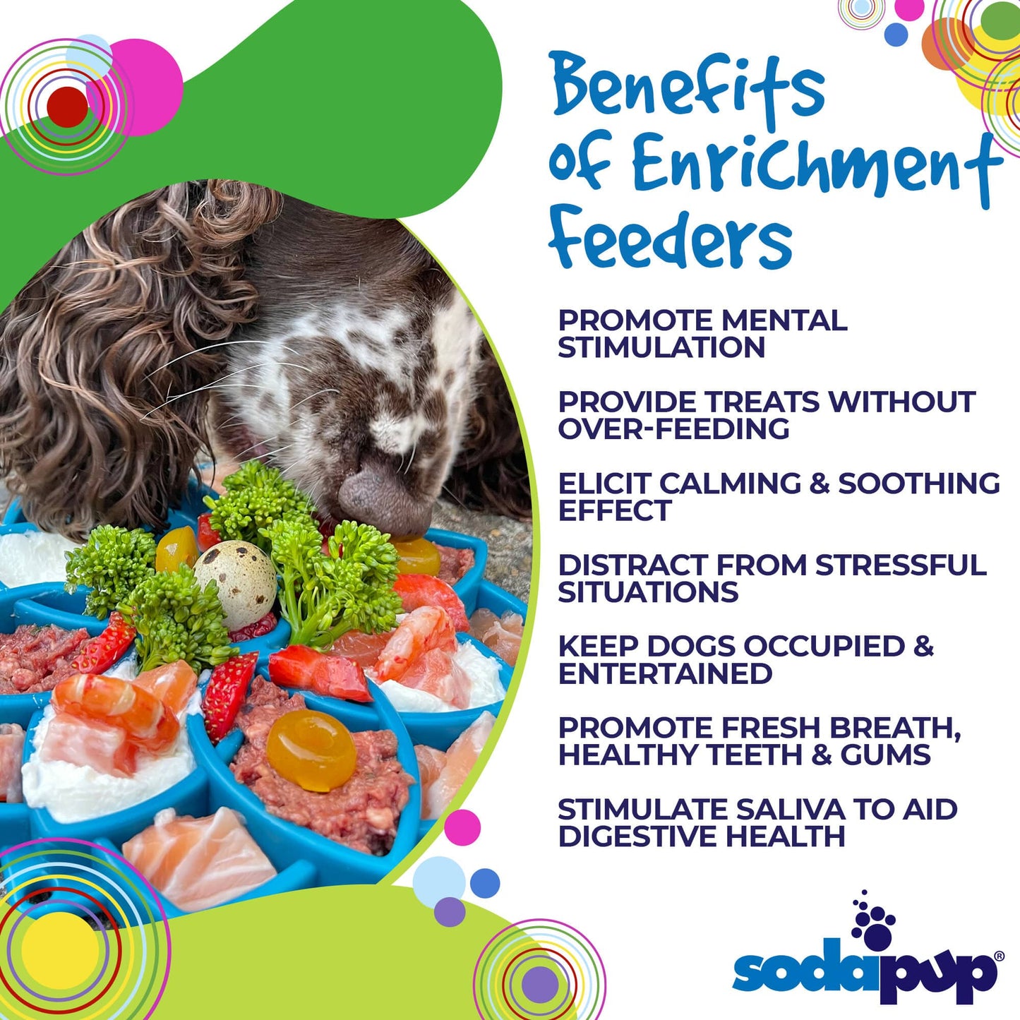 SodaPup Mandala eTray Shallow Slow Feeder Dog Bowl for Enrichment | USA Made