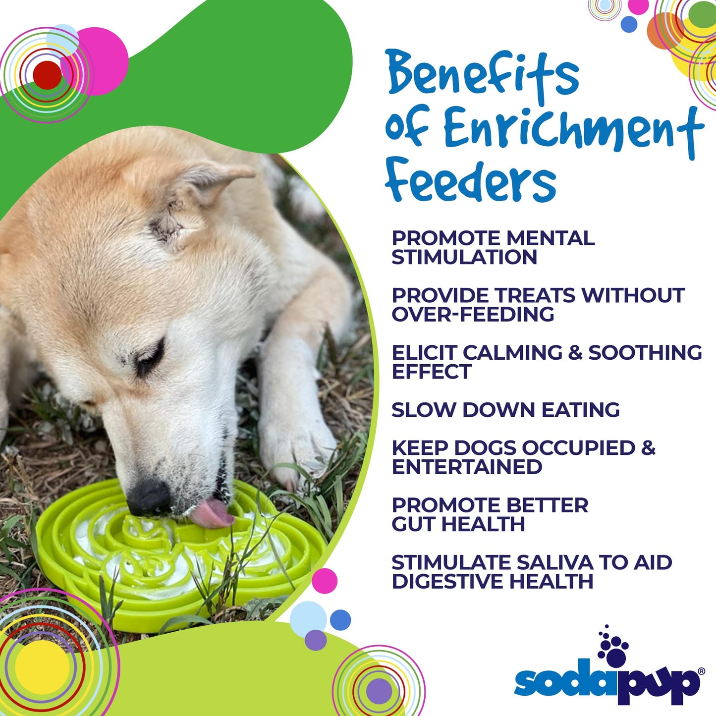 SodaPup Water Frog eTray - Shallow Slow Feeder Dog Bowl for Enrichment | USA Made