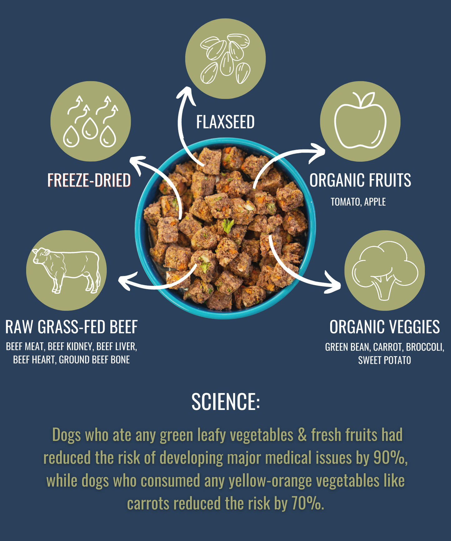 AlphaPak Freeze-Dried Raw Beef — Formulated for Dog Longevity
