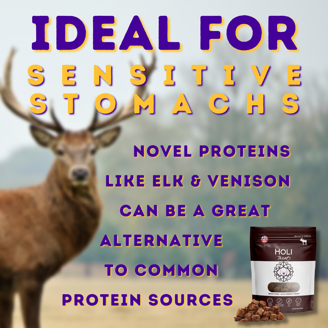 HOLI - Elk & Venison Dog and Cat Treats