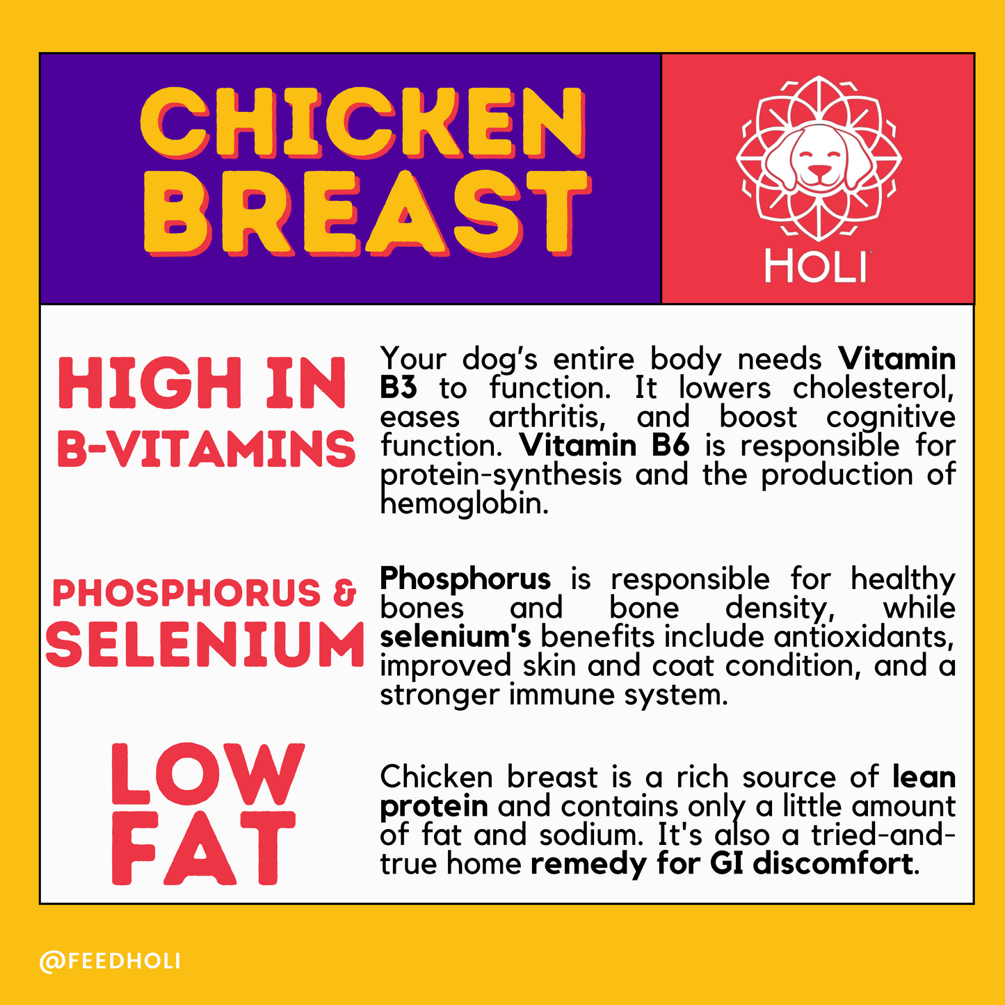 HOLI - Chicken Breast Dog and Cat Treats