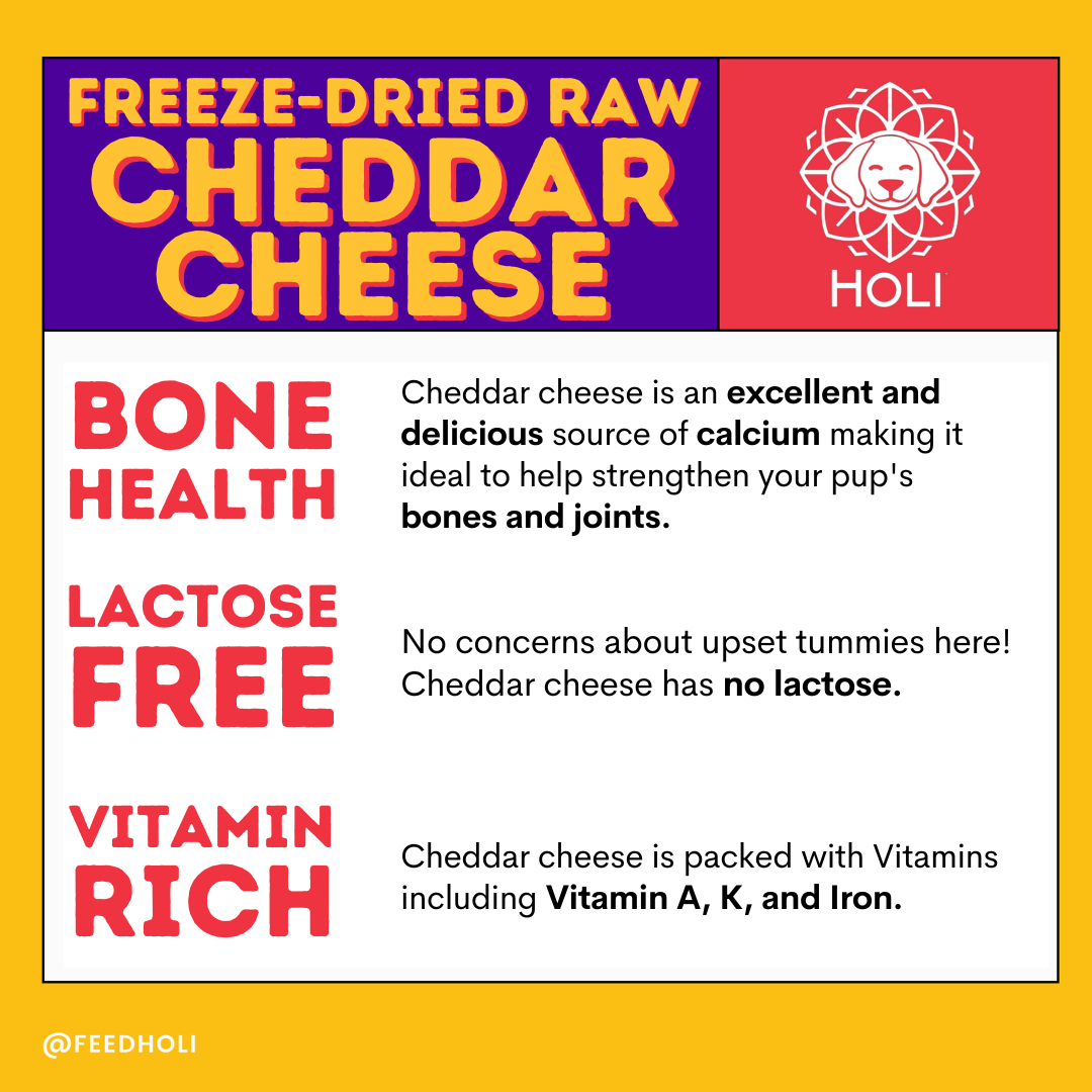 HOLI - Cheddar Cheese Dog and Cat Treats - Freeze Dried - Single Ingredient