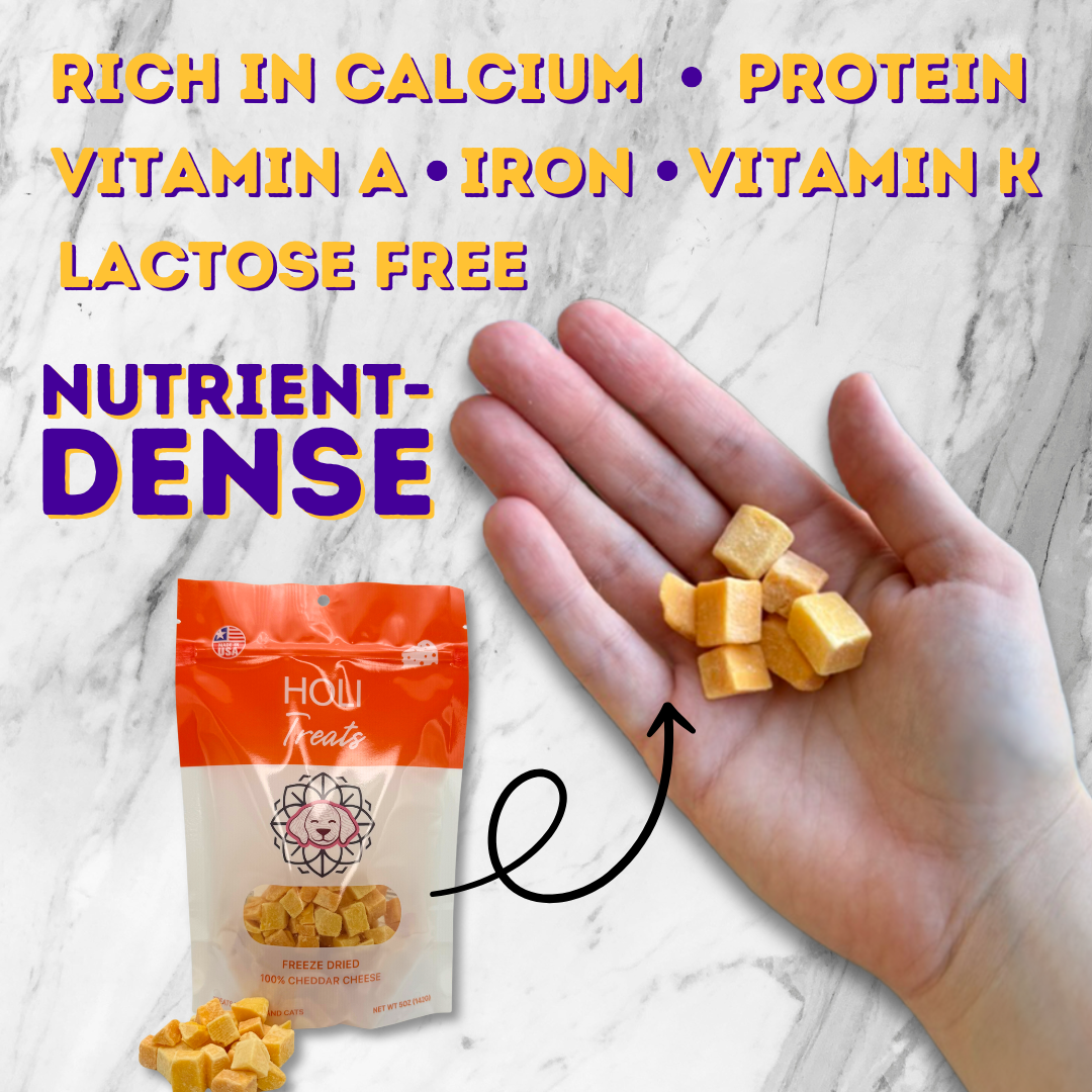 HOLI - Cheddar Cheese Dog and Cat Treats - Freeze Dried - Single Ingredient