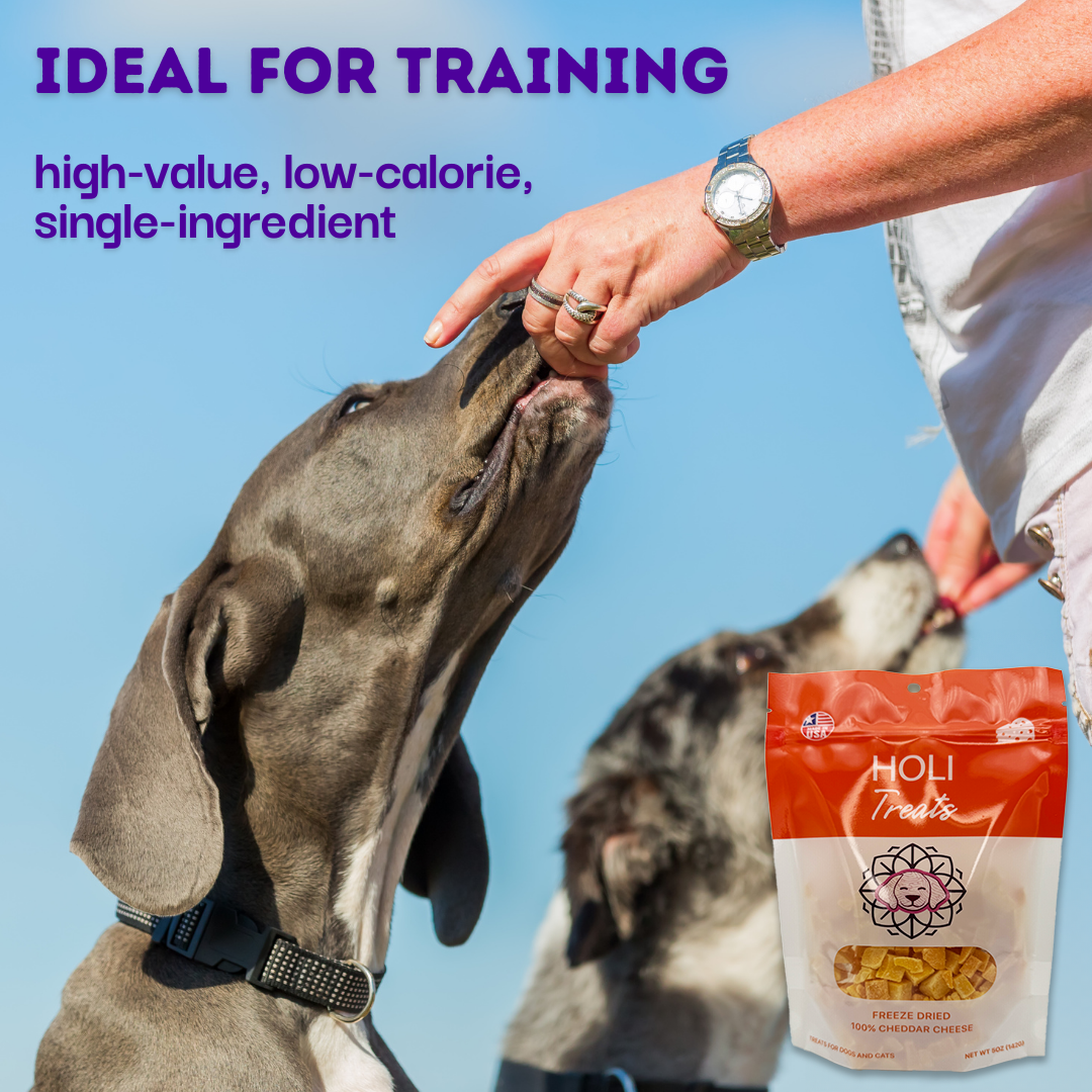 HOLI - Cheddar Cheese Dog and Cat Treats - Freeze Dried - Single Ingredient