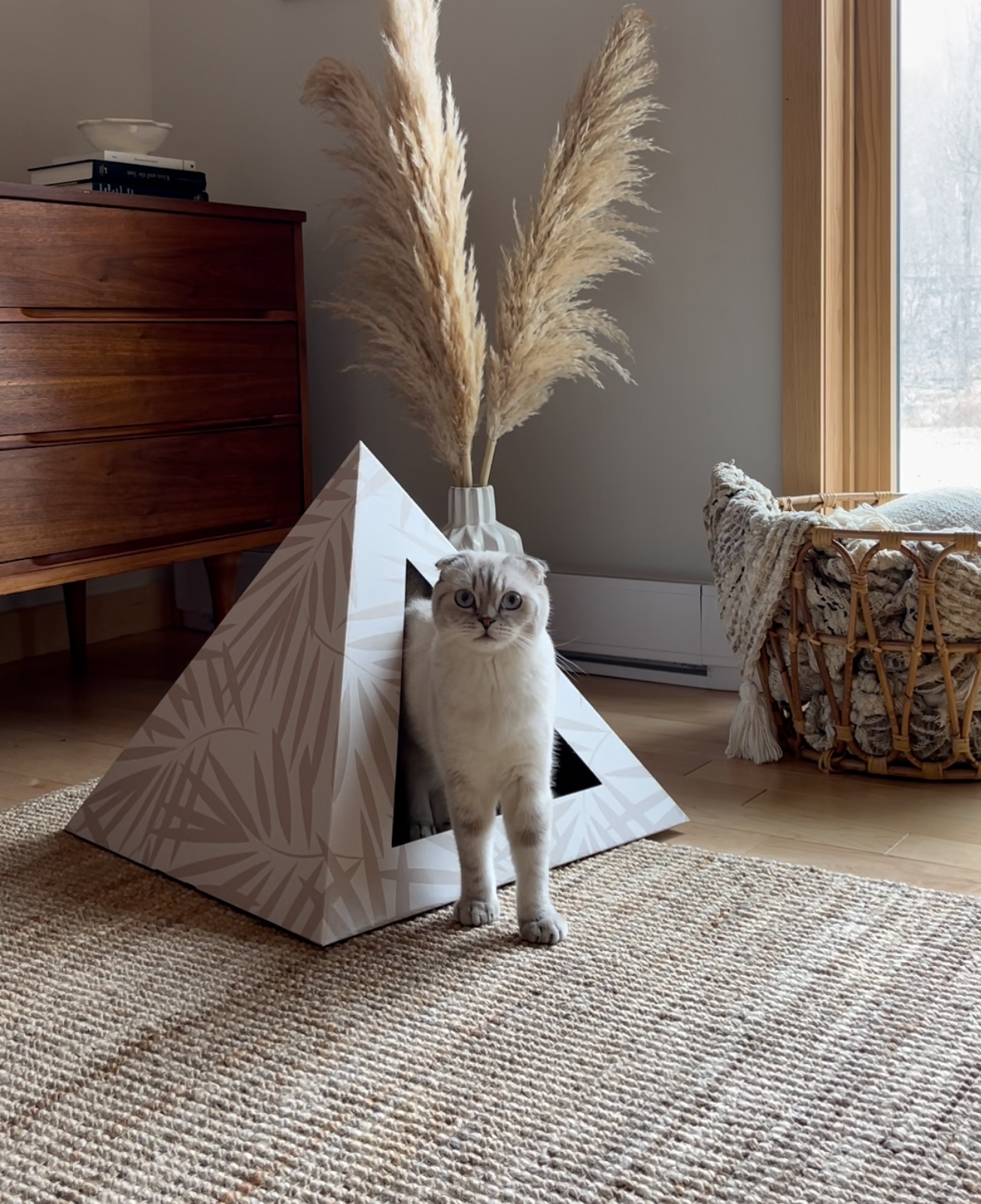 Kitty Kardboard 'Neutral Palm' Cardboard Cat Pyramid