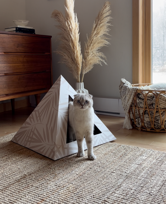 Kitty Kardboard 'Neutral Palm' Cardboard Cat Pyramid