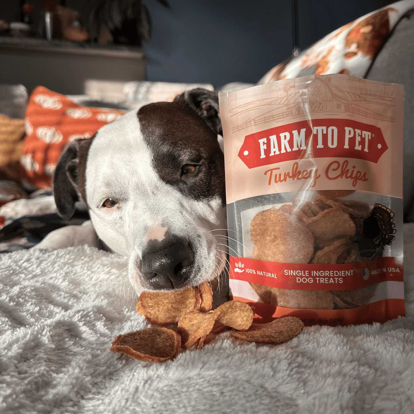 Farm to Pet - Turkey Chips for Dogs | All-Natural Single-Ingredient Healthy Dog Treats