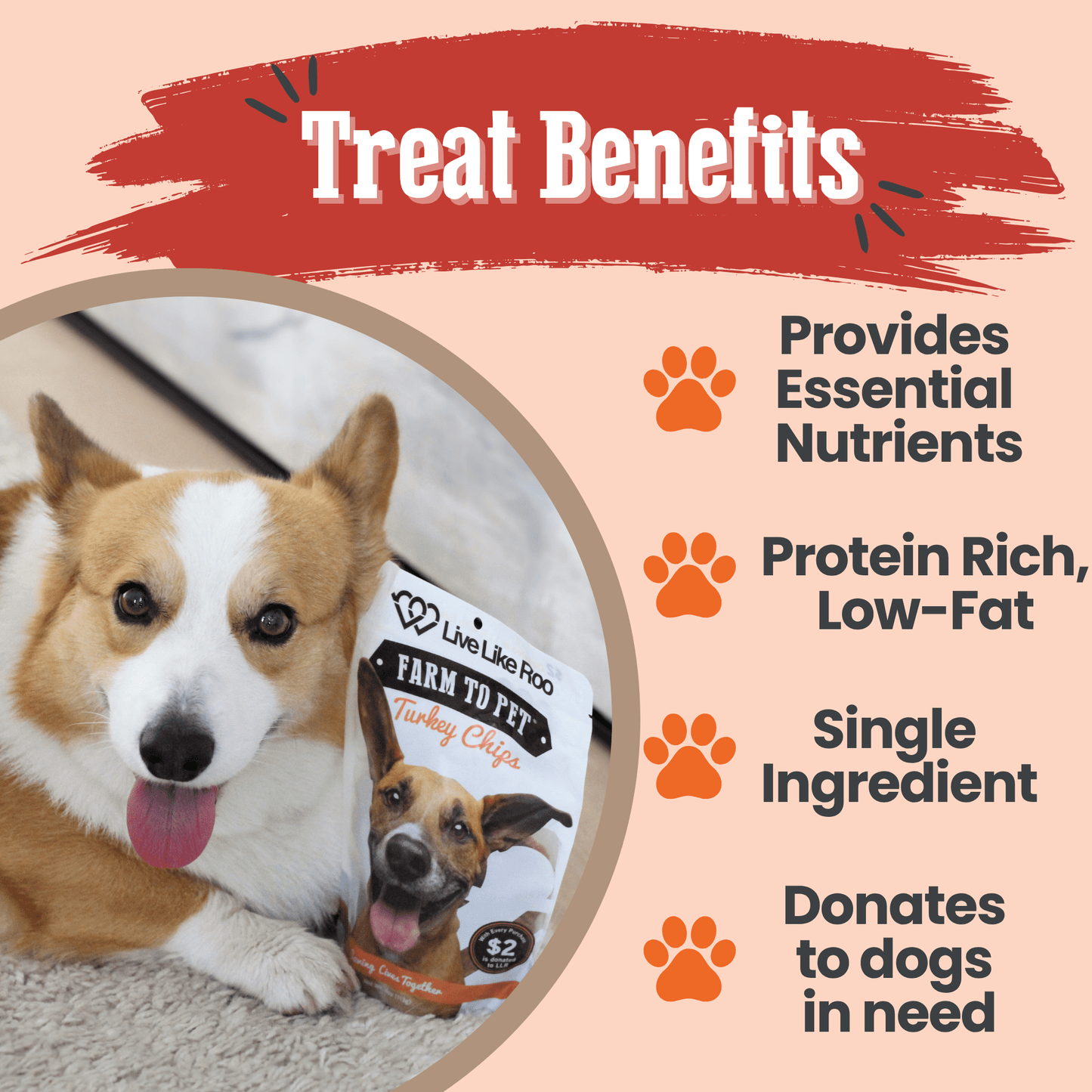 Farm to Pet - Live Like Roo Turkey Chips for Dogs | Dog Treats That Give Back
