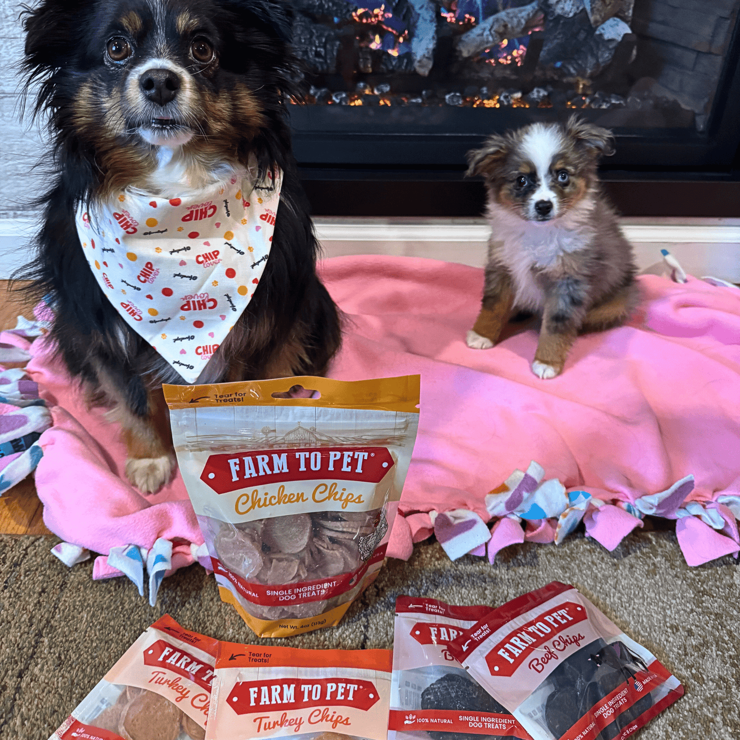 Farm to Pet - Puppy Packs 'n Snacks Dog Treat Starter Pack | Single-Ingredient Training Treats