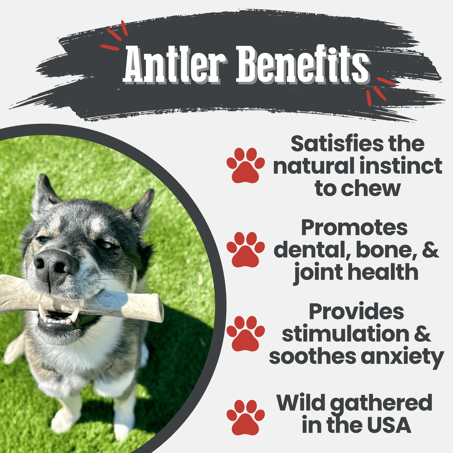 Farm to Pet - Reindeer Antler Dog Chews | Organic Chews for Dogs