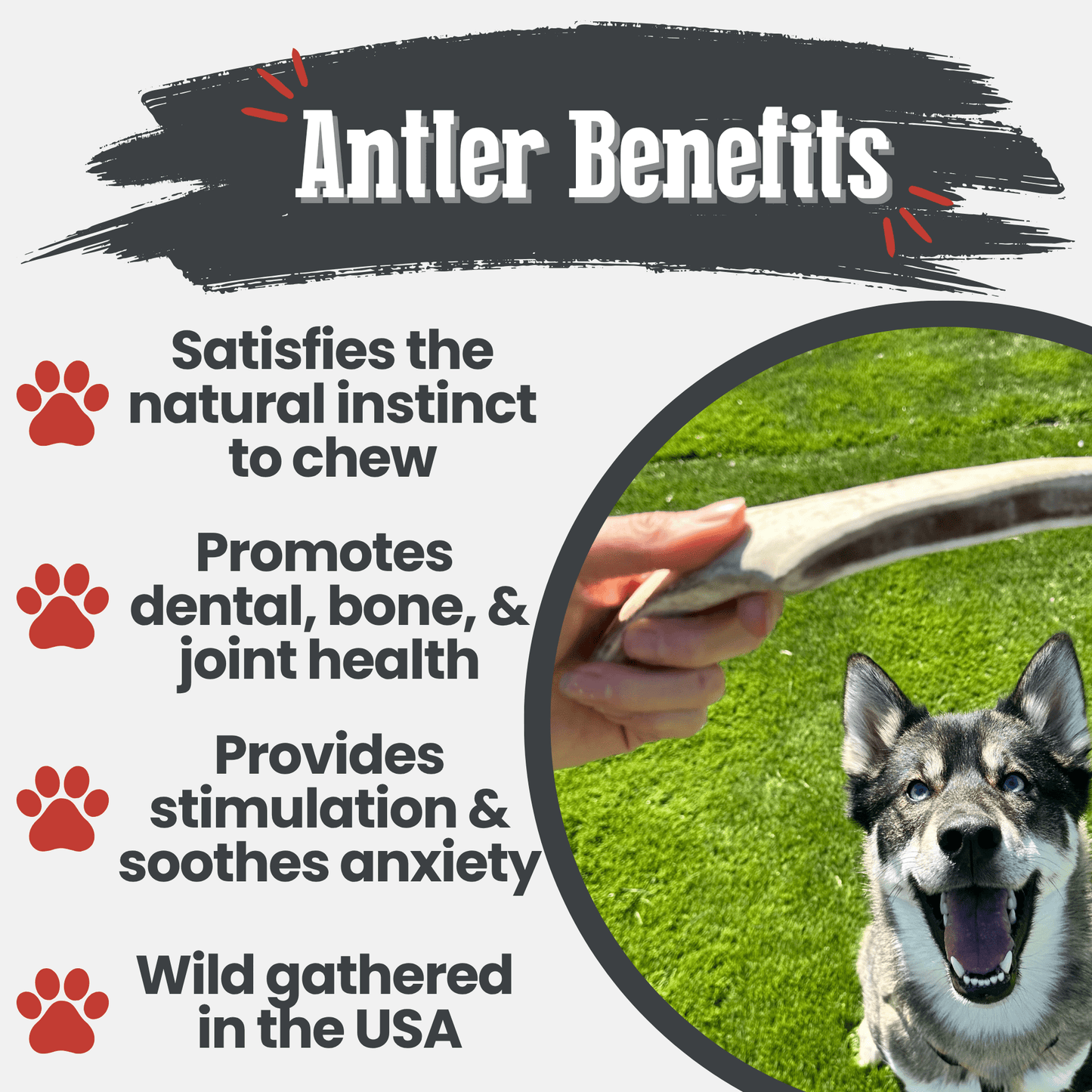 Farm to Pet - Reindeer Antler Dog Chews | Organic Chews for Dogs