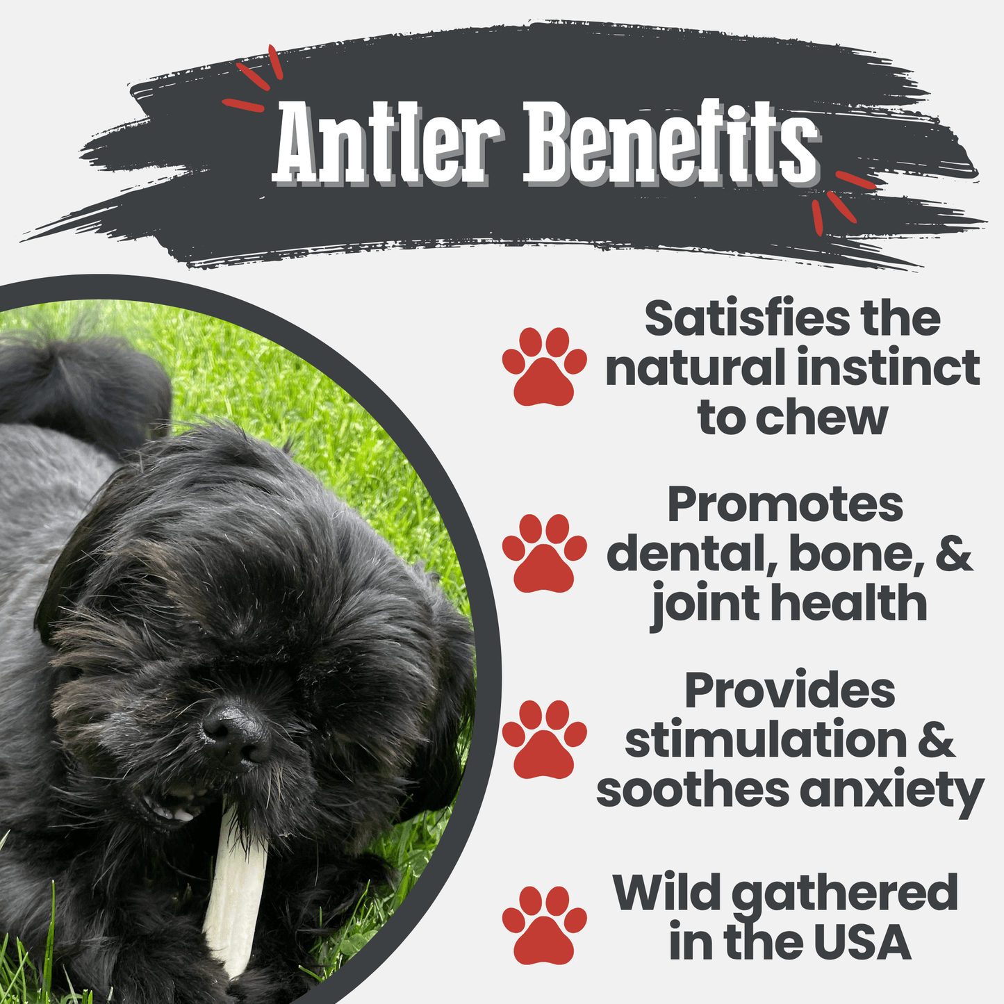 Farm to Pet - Reindeer Antler Dog Chews | Organic Chews for Dogs