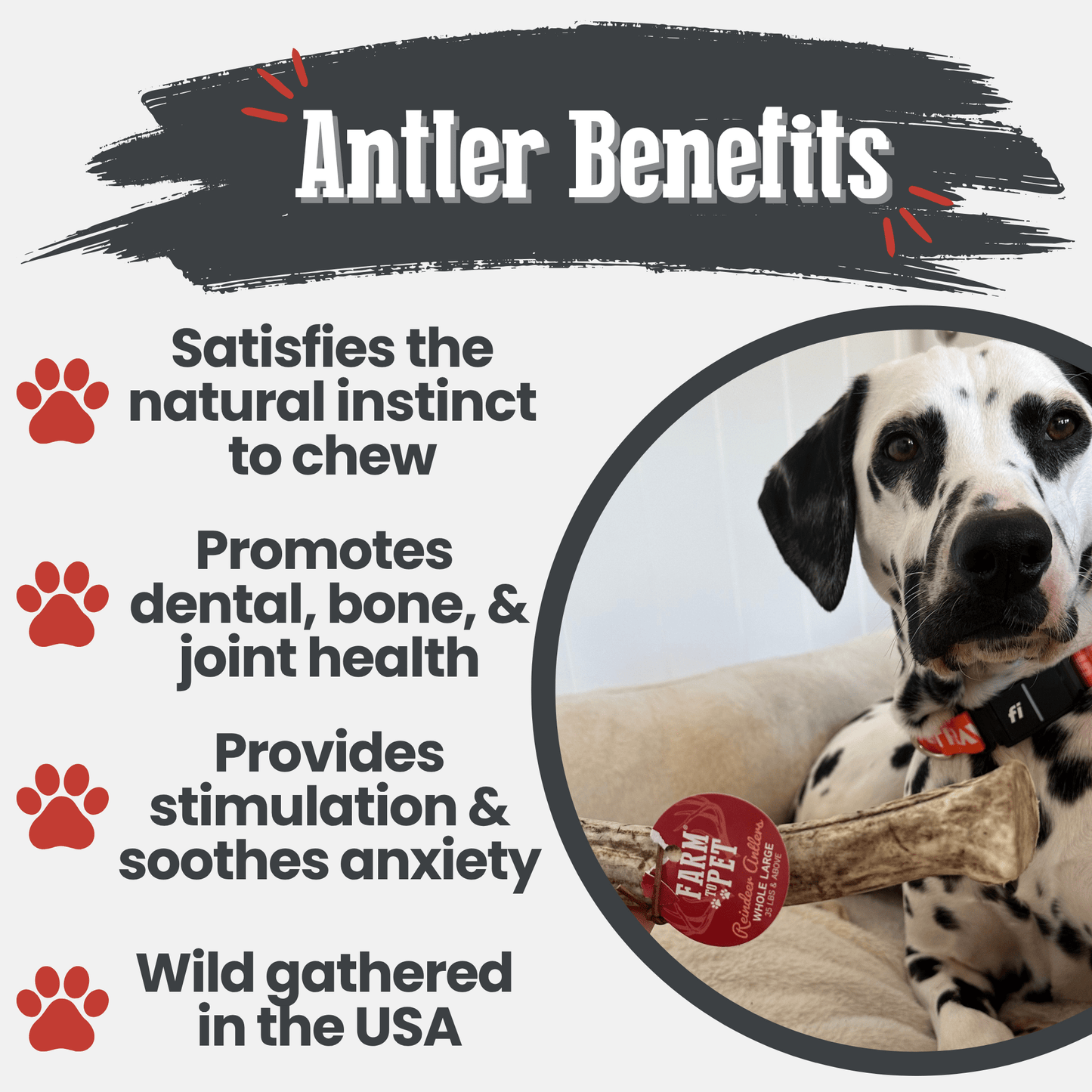 Farm to Pet - Reindeer Antler Dog Chews | Organic Chews for Dogs