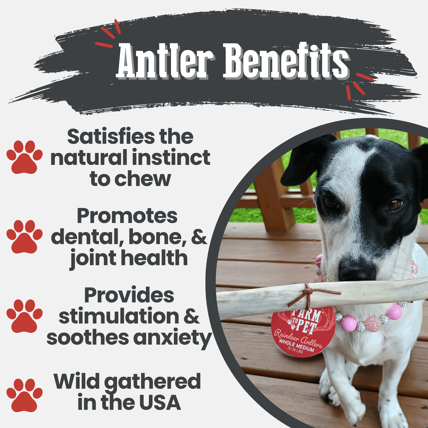 Farm to Pet - Reindeer Antler Dog Chews | Organic Chews for Dogs