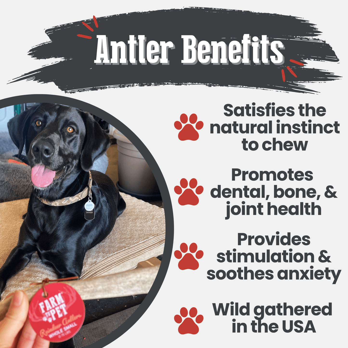 Farm to Pet - Reindeer Antler Dog Chews | Organic Chews for Dogs