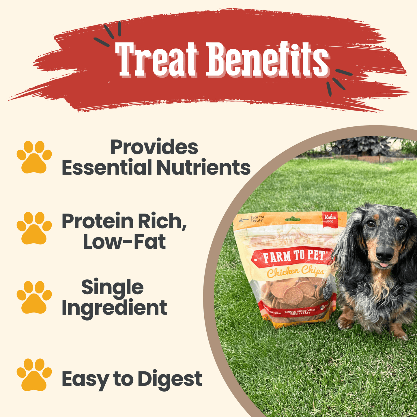 Farm to Pet - Chicken Chips for Dogs | All-Natural Single-Ingredient Dog Treats