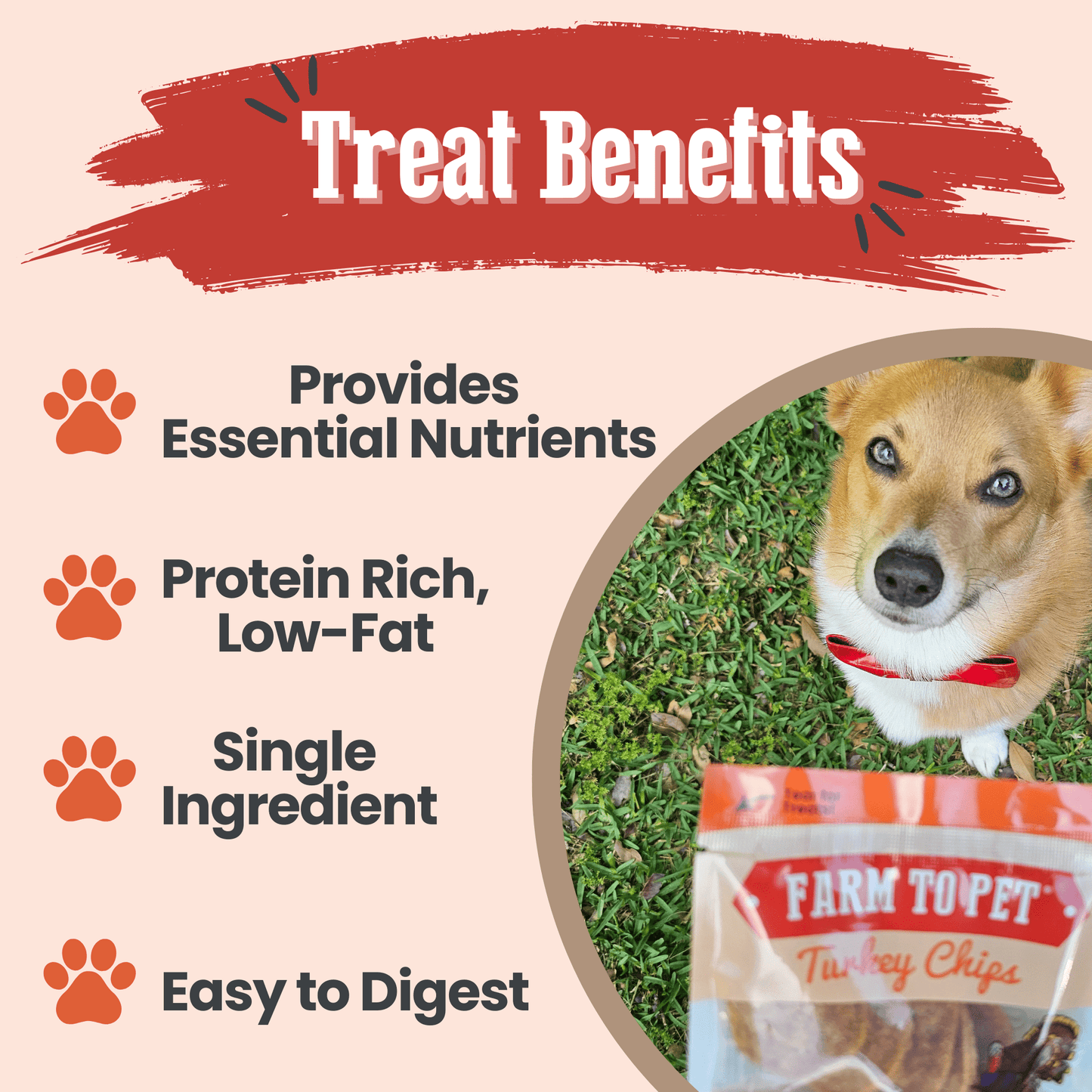 Farm to Pet - Turkey Chips Snack Pack Bundles | Low Allergen Treats for Training