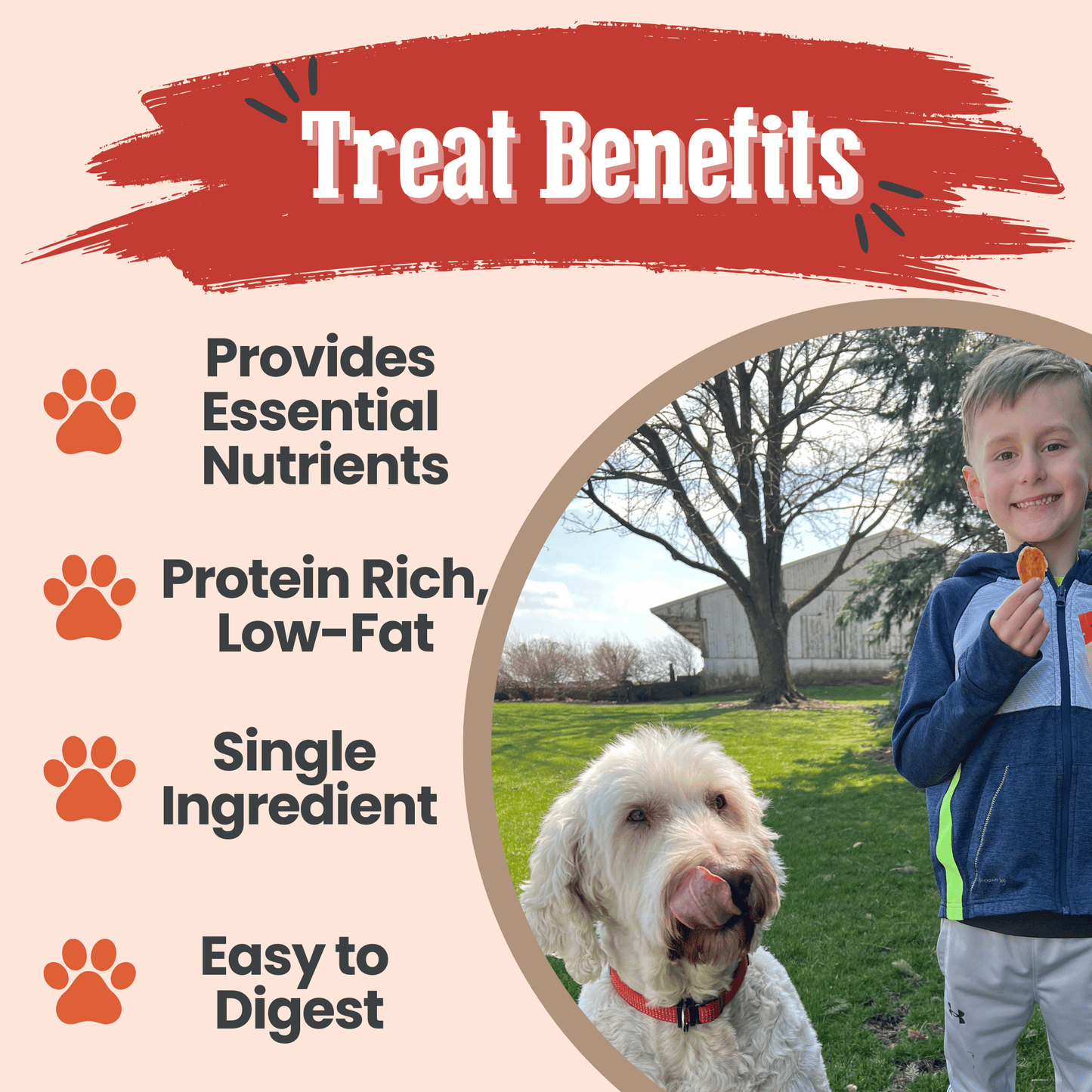Farm to Pet - Turkey Chips for Dogs | All-Natural Single-Ingredient Healthy Dog Treats