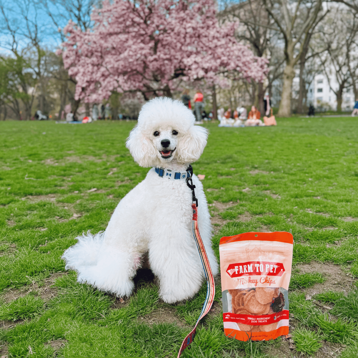 Farm to Pet - Turkey Chips for Dogs | All-Natural Single-Ingredient Healthy Dog Treats