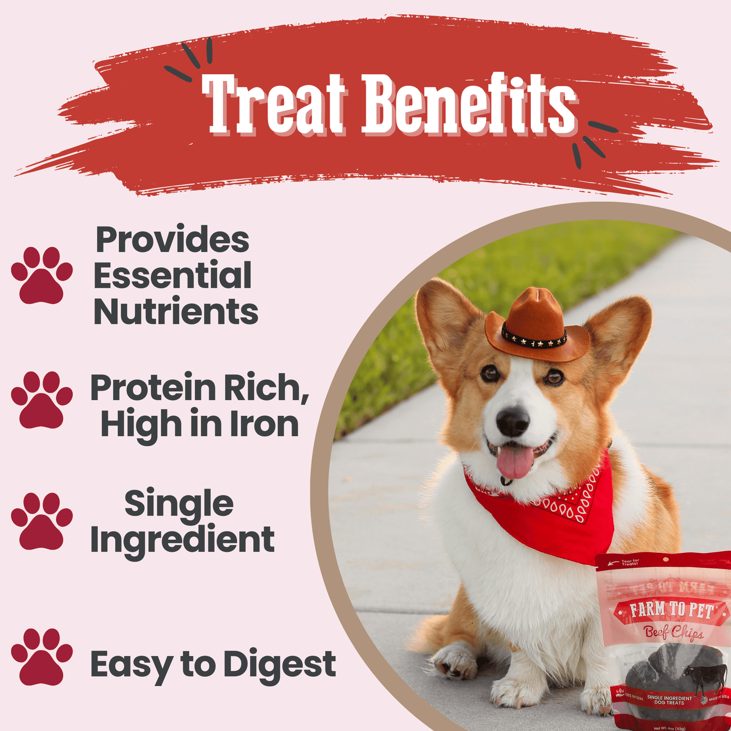 Farm To Pet - Beef Chips Dog Treats | Single-Ingredient Healthy Treats for Dogs