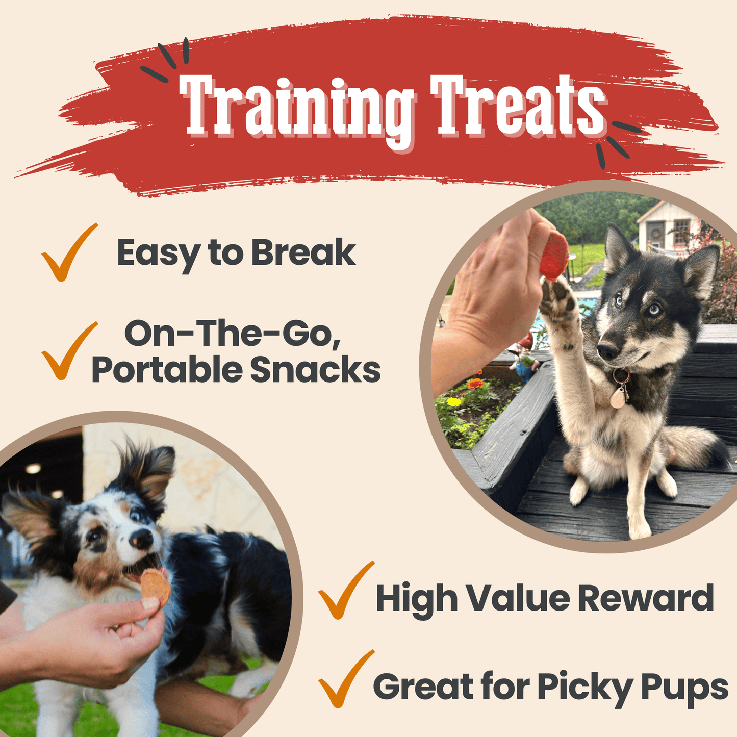 Farm to Pet - Turkey & Chicken Chip Dog Treat Duo | Single-Ingredient Poultry Treats for Dogs