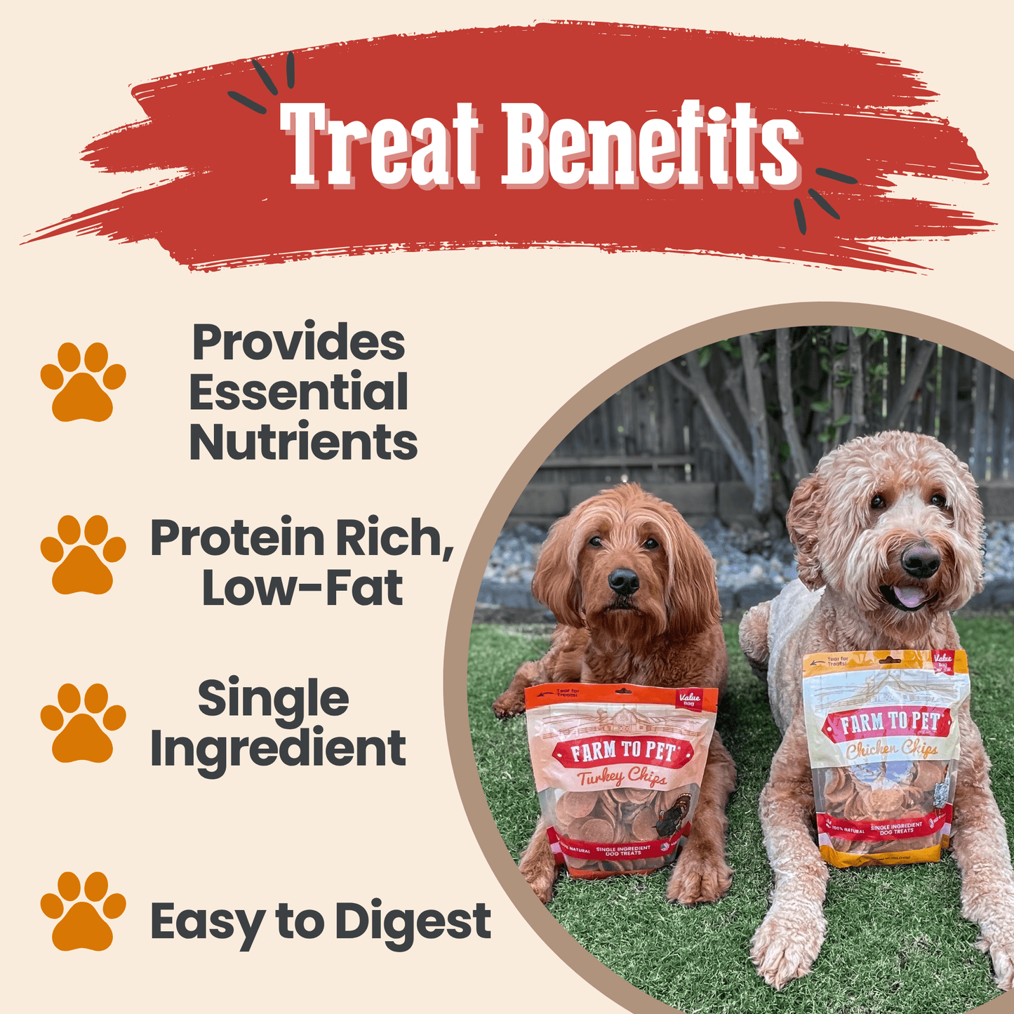 Farm to Pet - Turkey & Chicken Chip Dog Treat Duo | Single-Ingredient Poultry Treats for Dogs