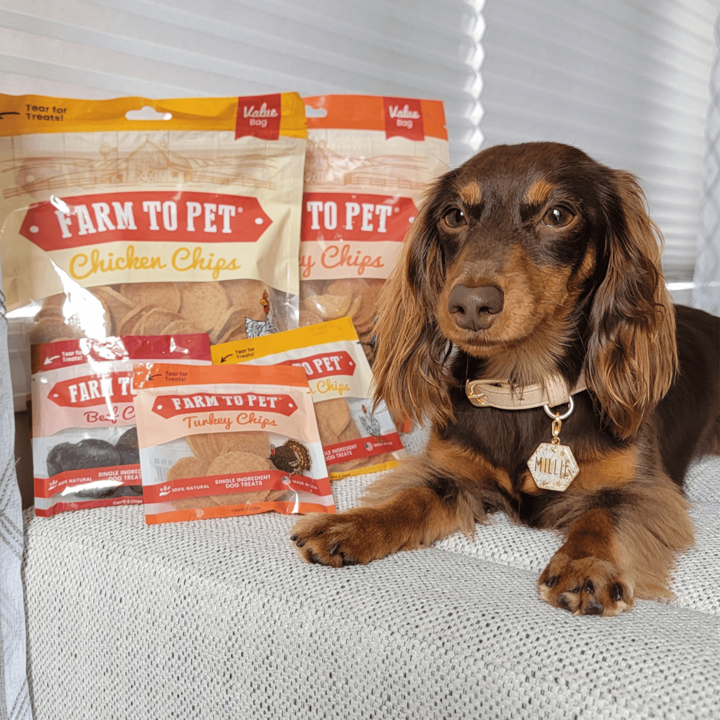 Farm to Pet - Turkey & Chicken Chip Dog Treat Duo | Single-Ingredient Poultry Treats for Dogs
