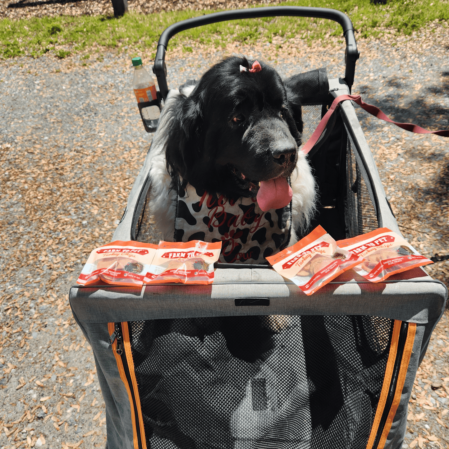 Farm to Pet - Turkey Chips Snack Pack Bundles | Low Allergen Treats for Training