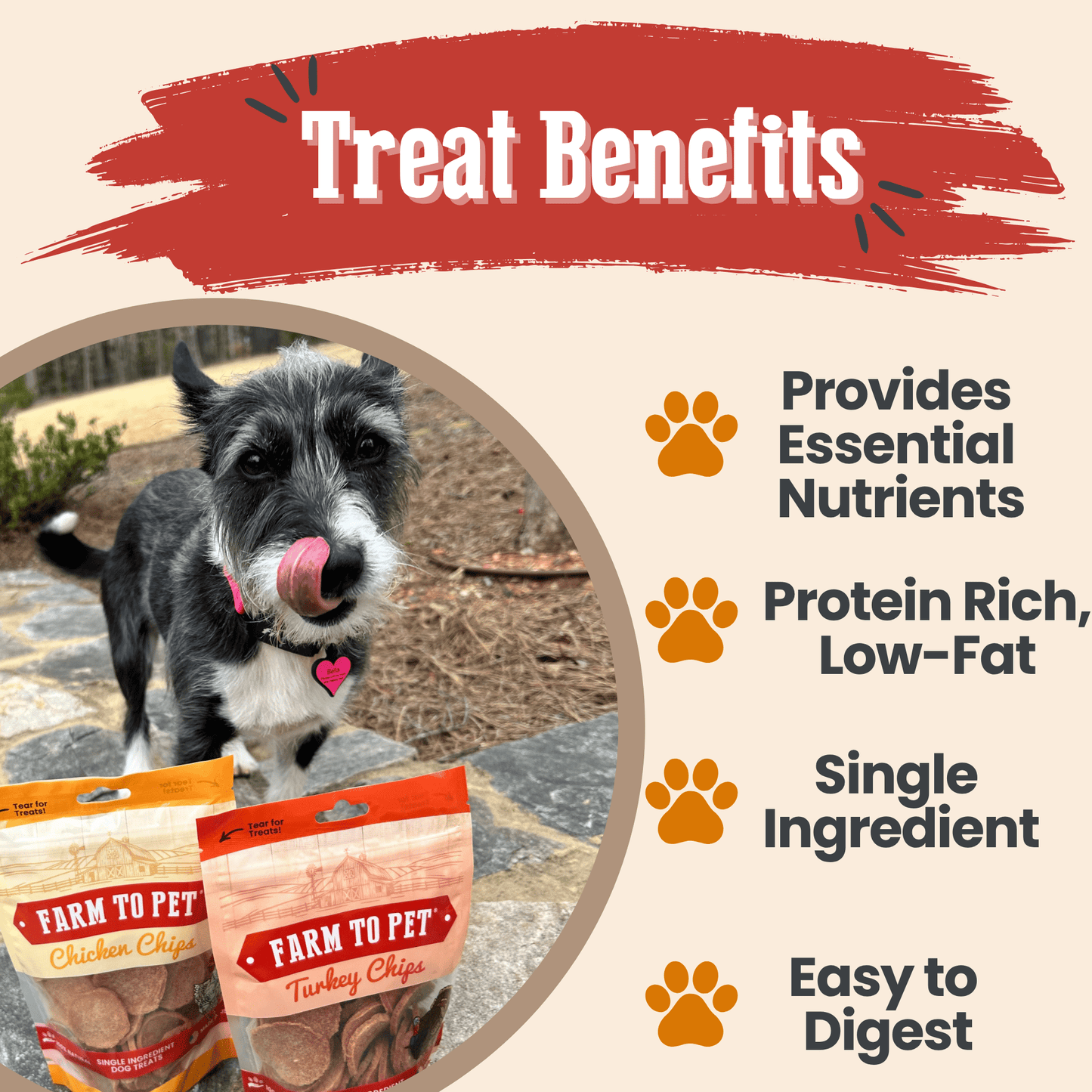Farm to Pet - Turkey & Chicken Chip Dog Treat Duo | Single-Ingredient Poultry Treats for Dogs