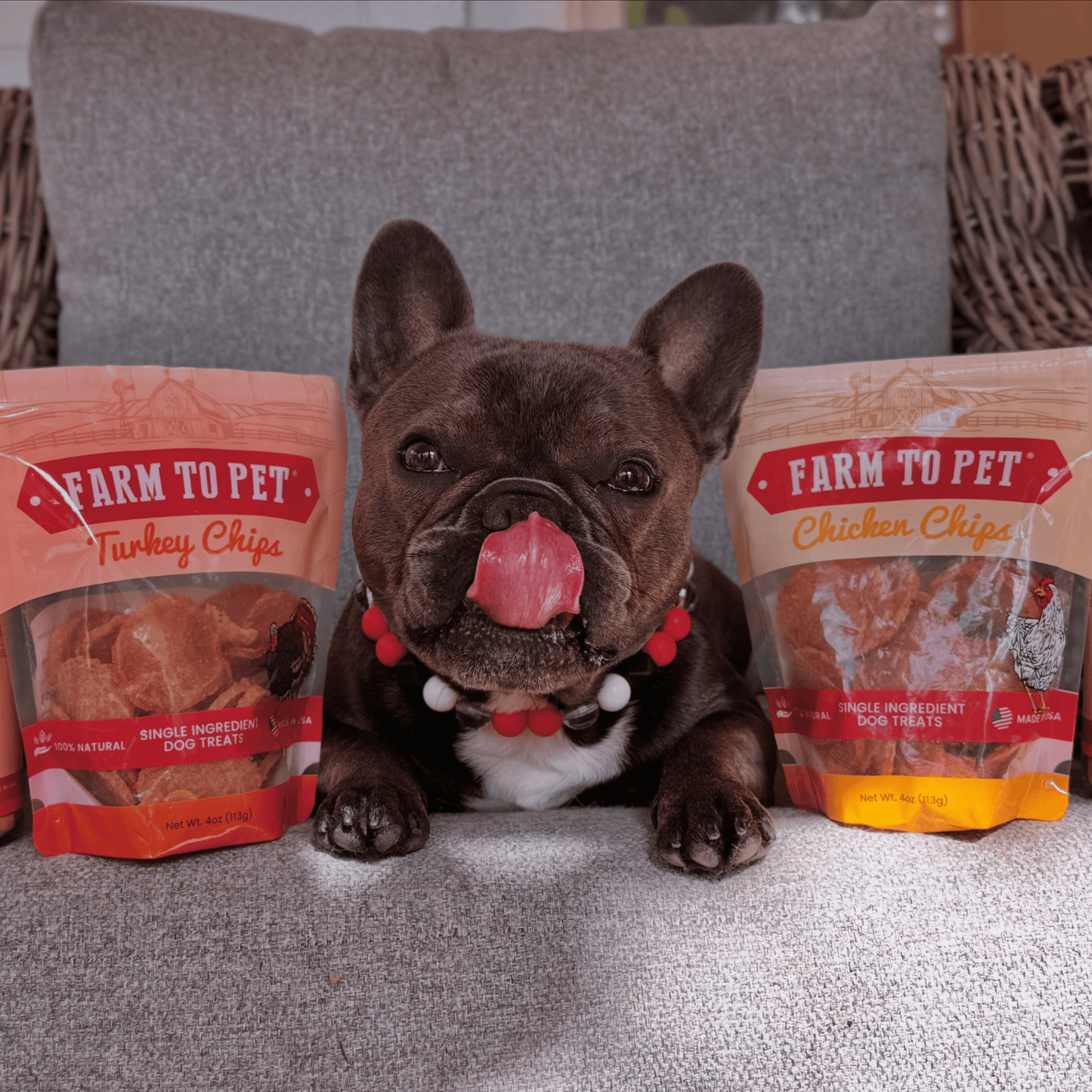 Farm to Pet - Turkey & Chicken Chip Dog Treat Duo | Single-Ingredient Poultry Treats for Dogs