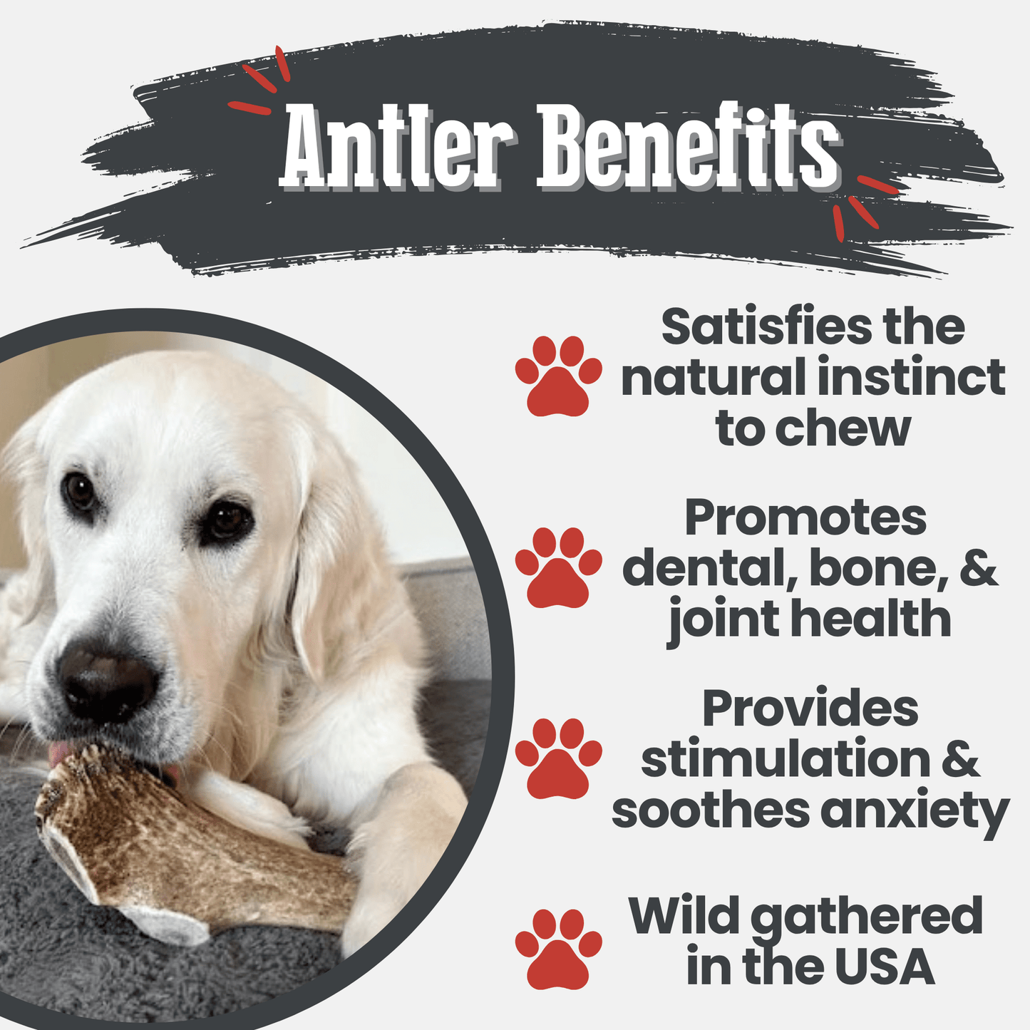 Farm to Pet - Elk Antler Dog Chews | All-Natural Whole and Split Elk Antler Chews for Dogs