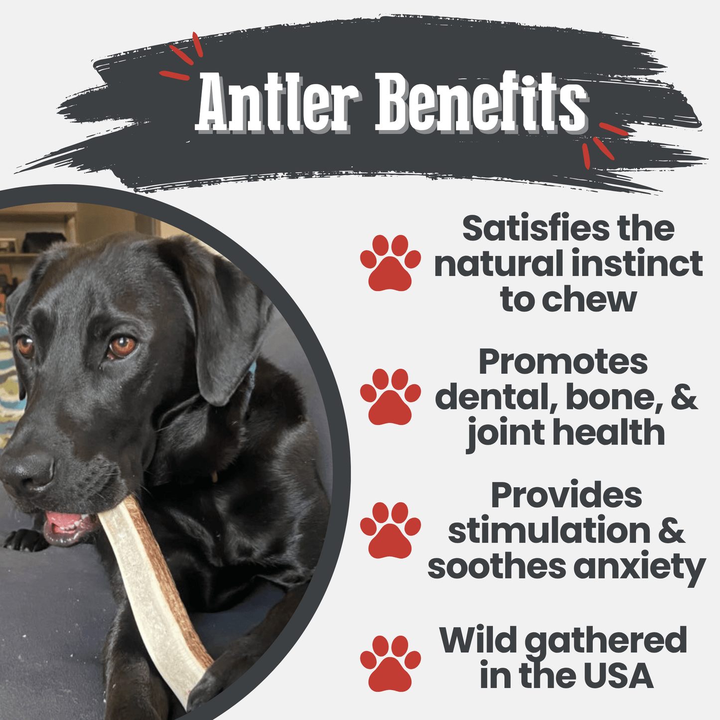 Farm to Pet - Elk Antler Dog Chews | All-Natural Whole and Split Elk Antler Chews for Dogs