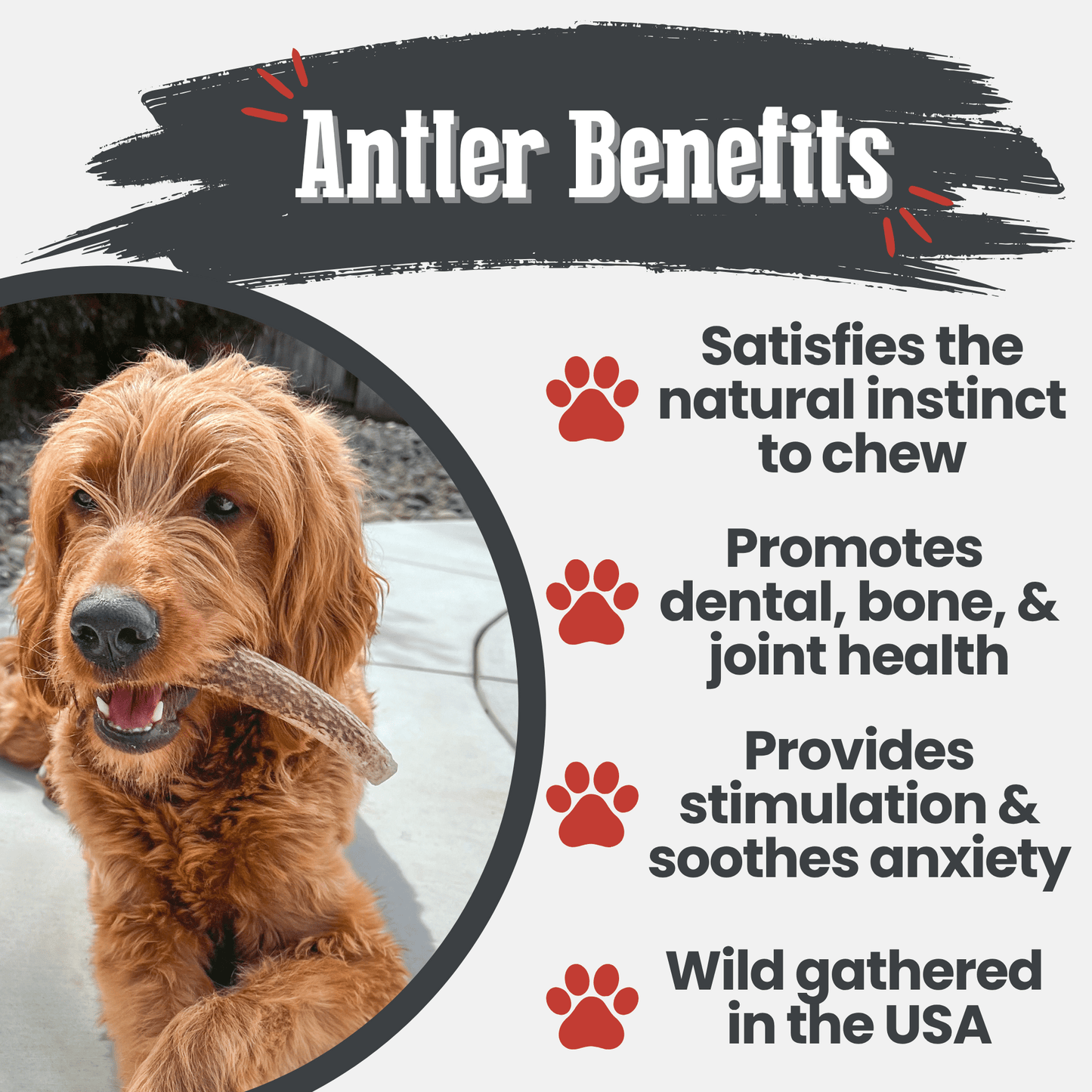 Farm to Pet - Elk Antler Dog Chews | All-Natural Whole and Split Elk Antler Chews for Dogs