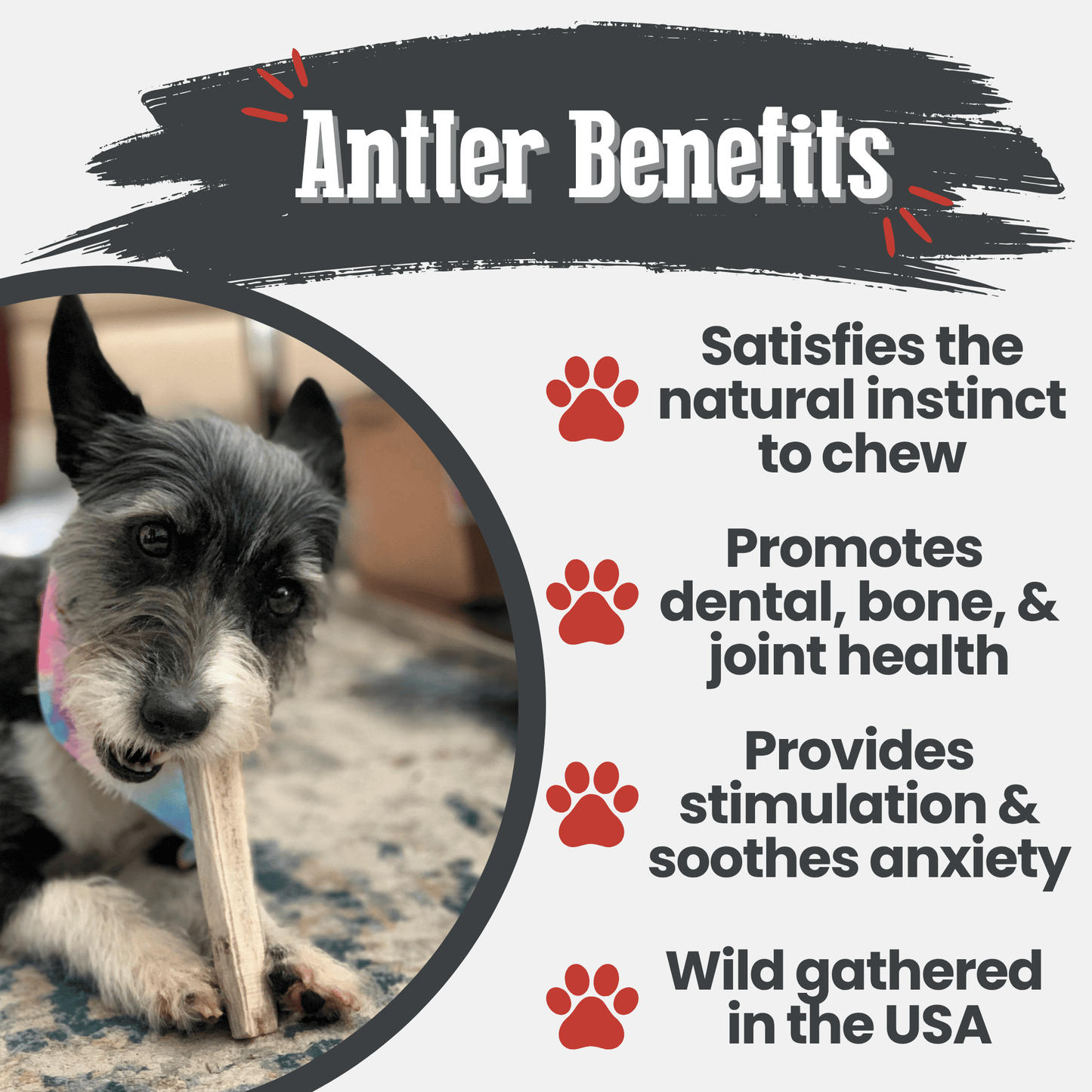 Farm to Pet - Elk Antler Dog Chews | All-Natural Whole and Split Elk Antler Chews for Dogs