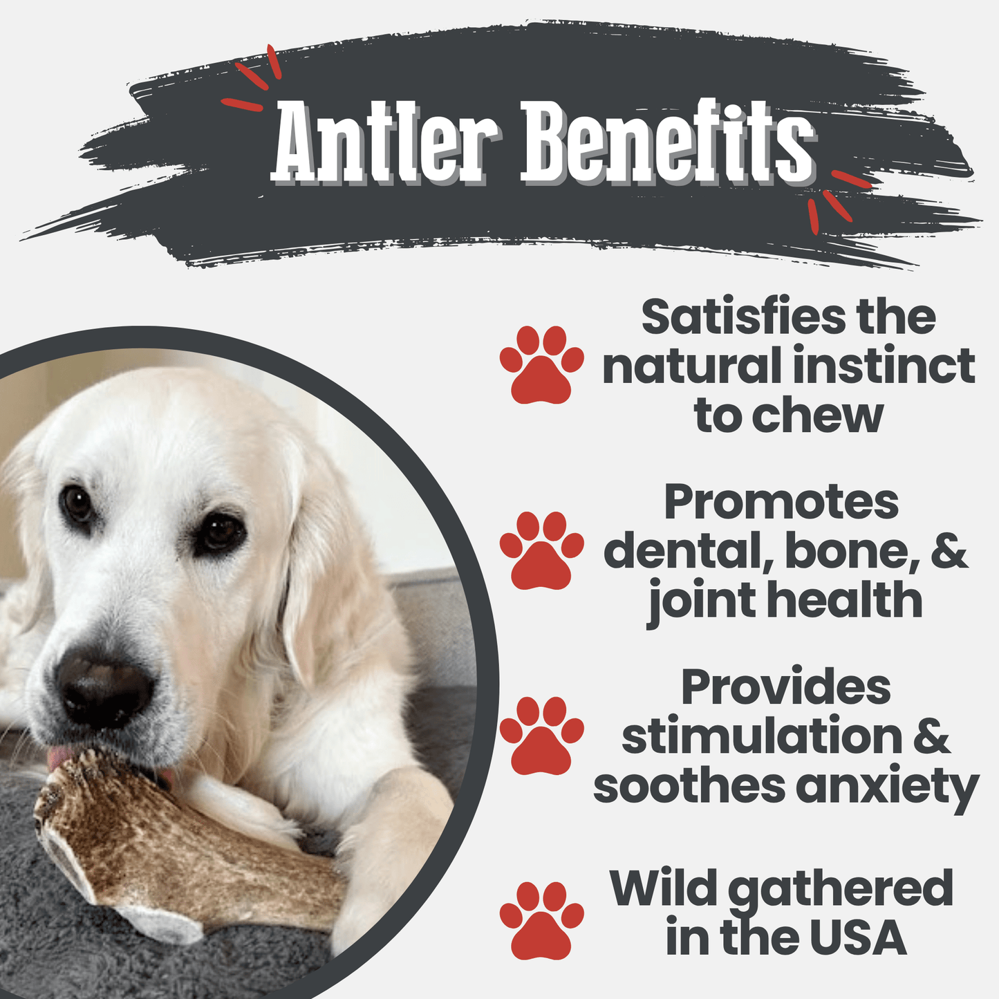 Farm to Pet - Elk Antler Dog Chews | All-Natural Whole and Split Elk Antler Chews for Dogs